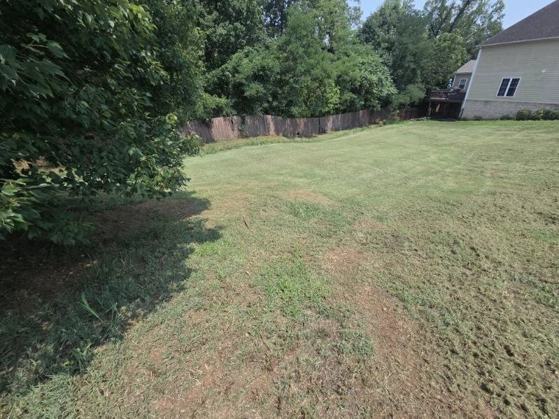 0 Summerville LN - Photo 5