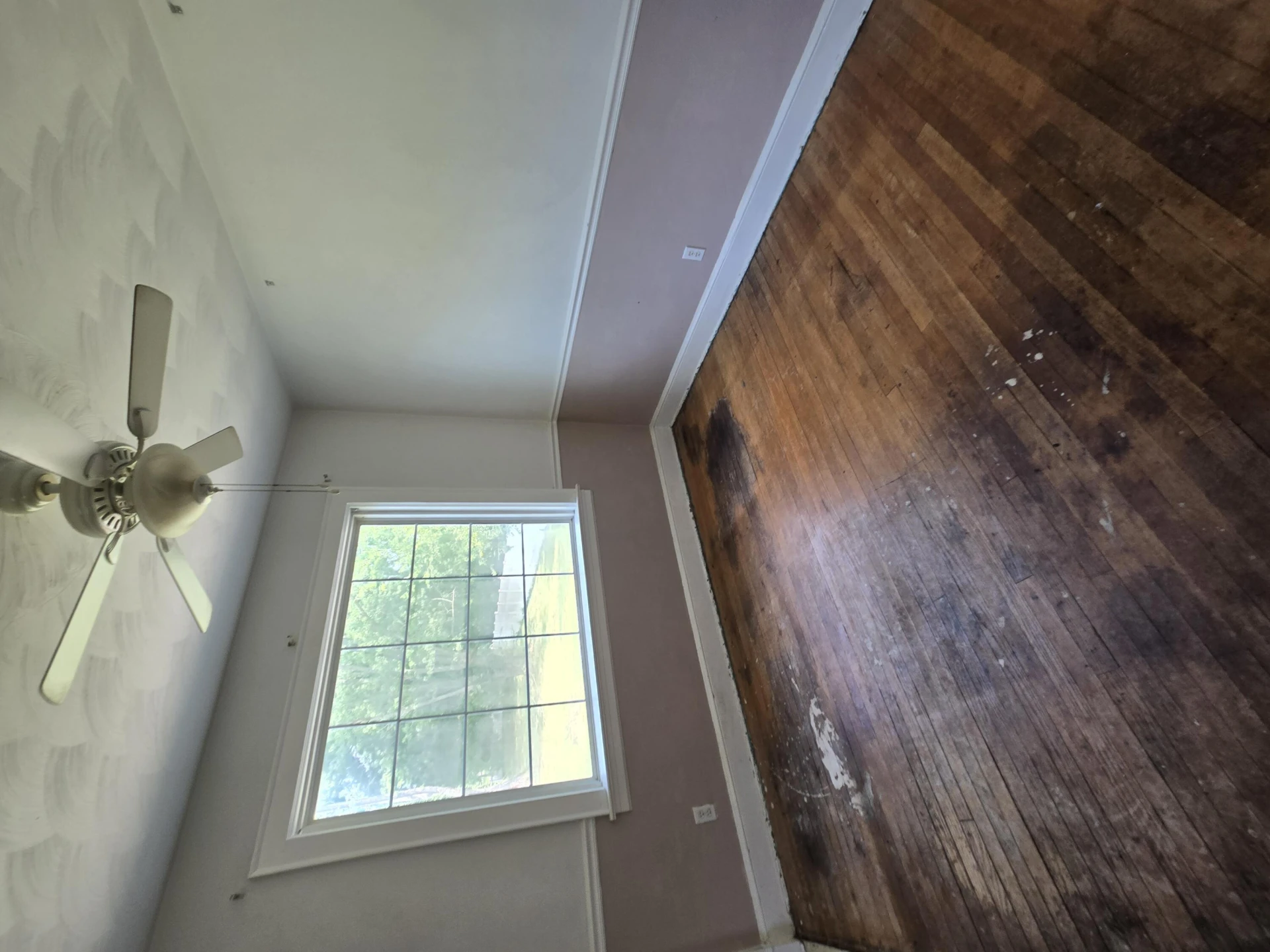 1208 Aspen ST NW - Photo 5