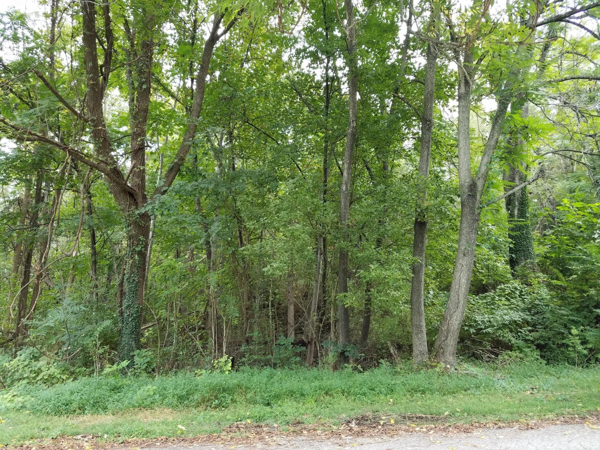 0 Northwood DR NW