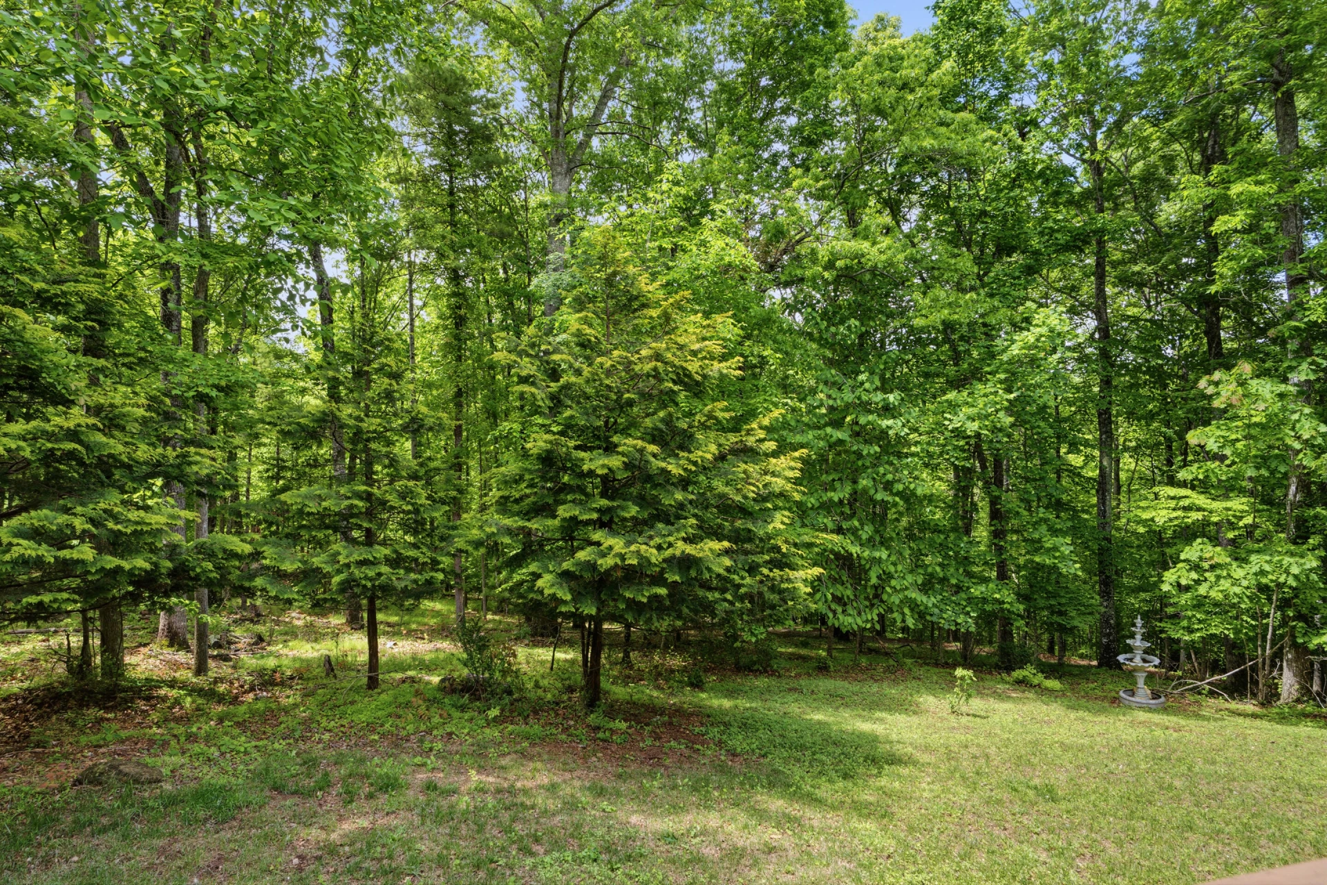 157 Burkes Hollow RD SW - Photo 85