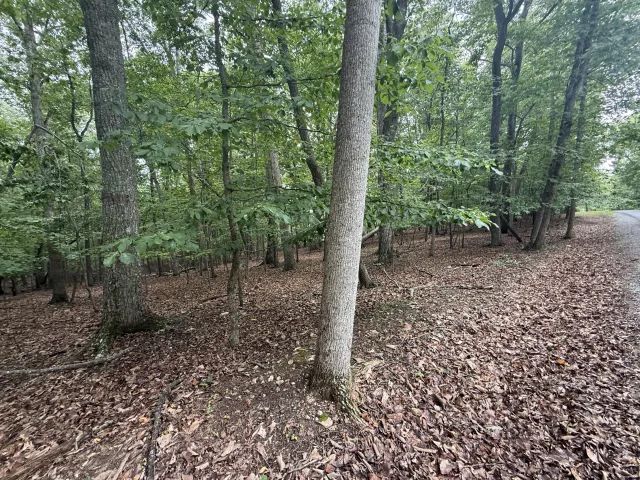 Lot 17 Saunders Point RD, Huddleston, VA, 24104