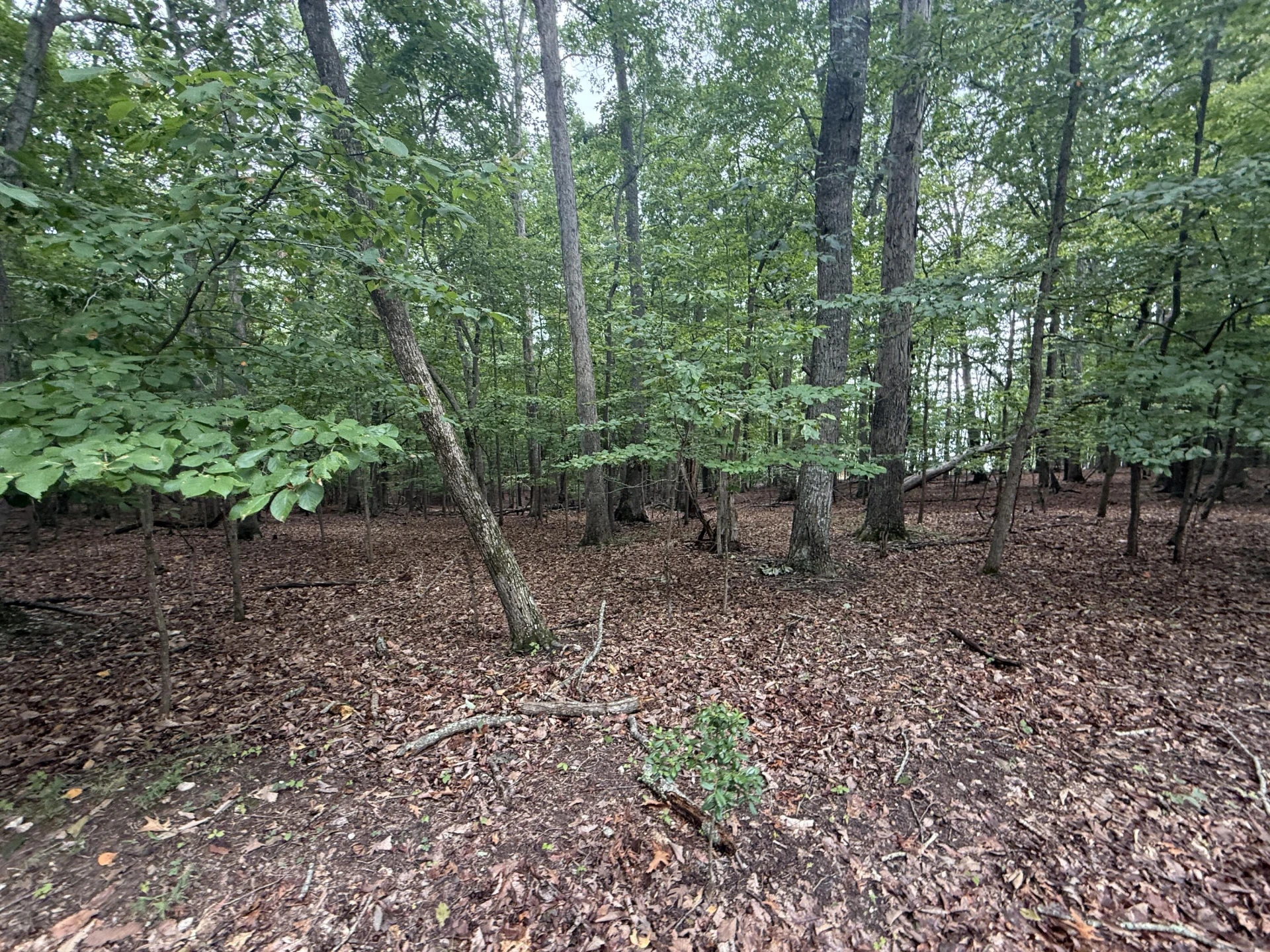 Lot 17 Saunders Point RD - Photo 2
