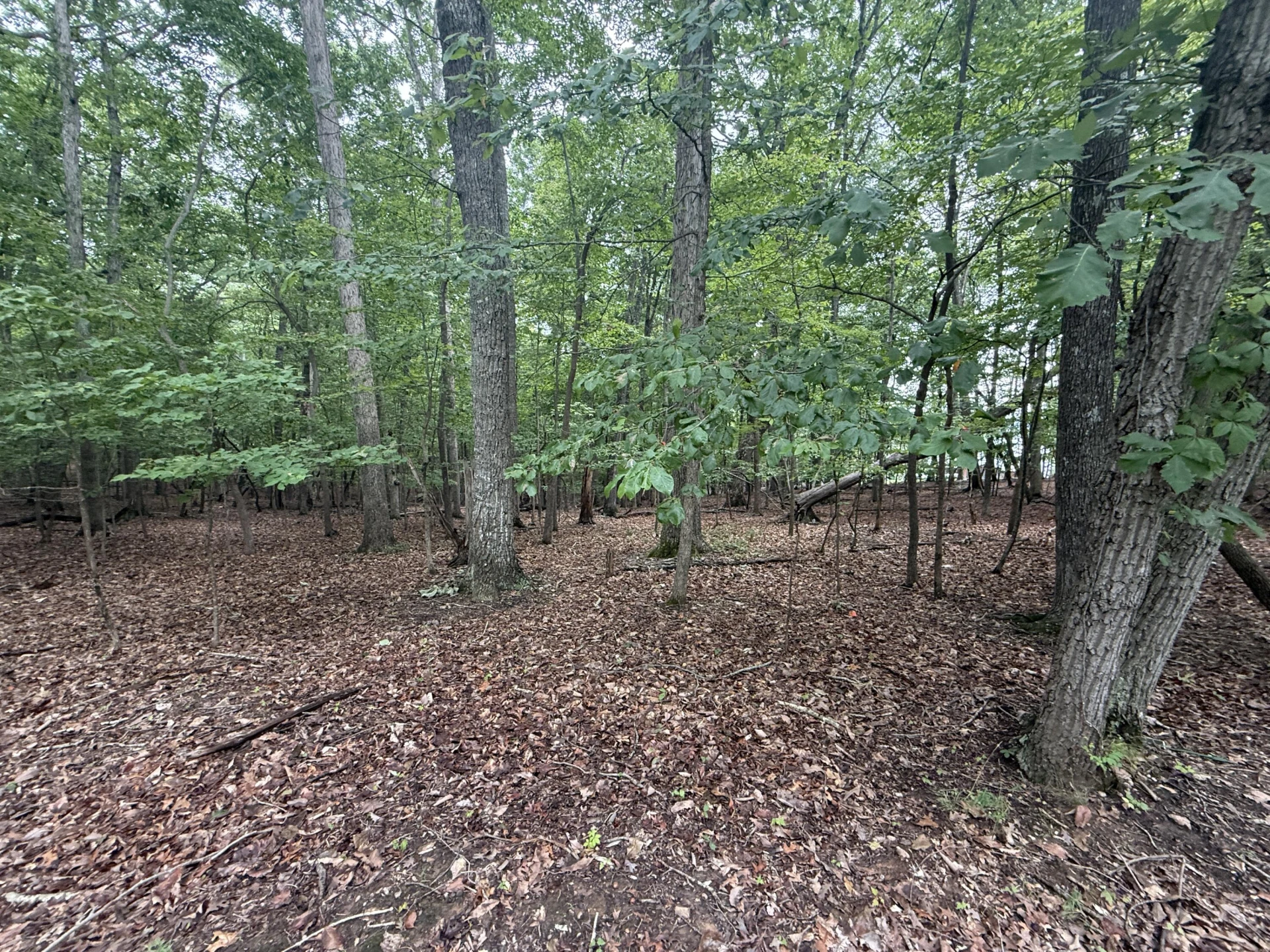 Lot 17 Saunders Point RD - Photo 3