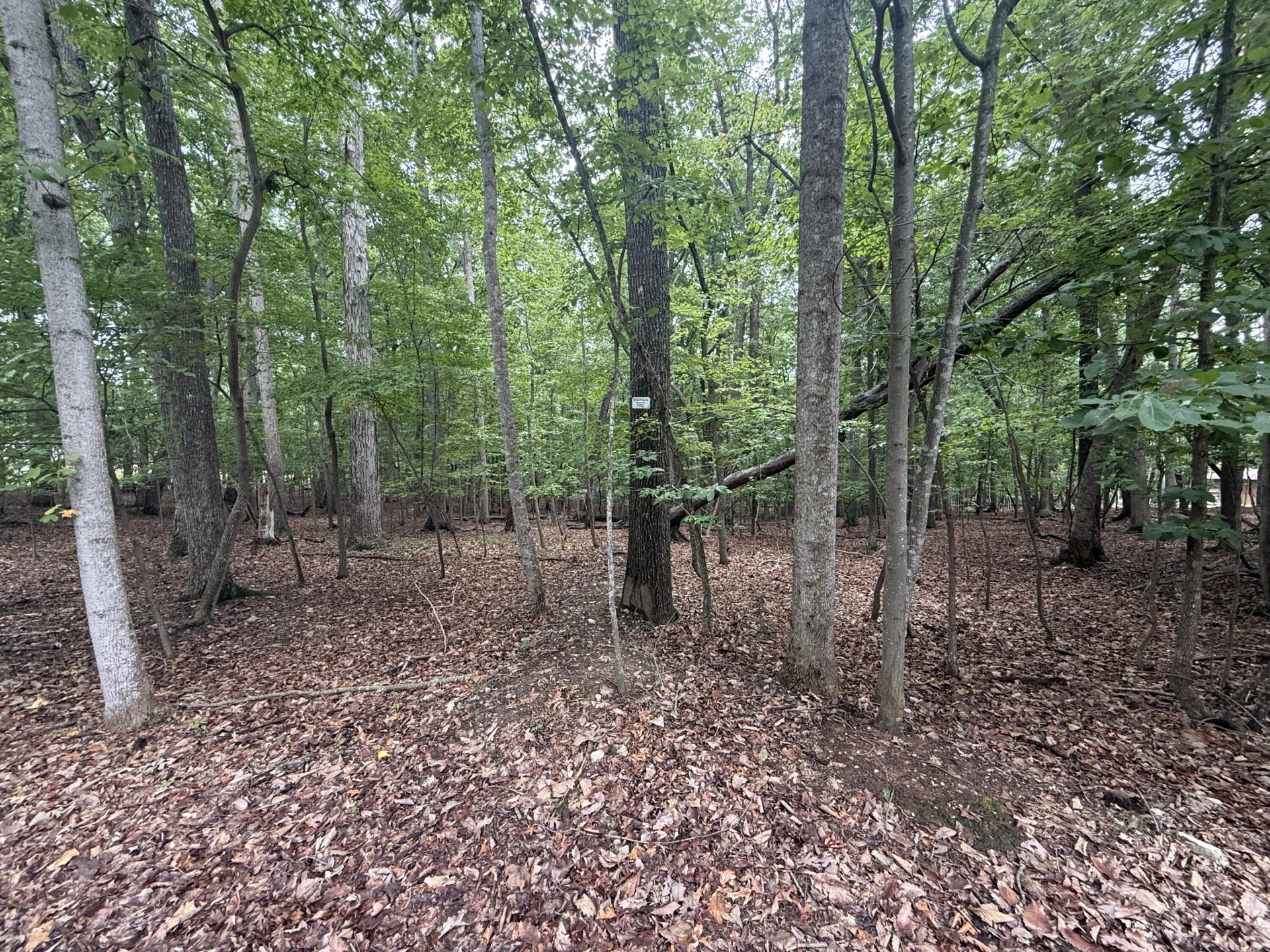 Lot 17 Saunders Point RD - Photo 5