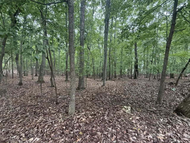 Lot 18 Saunders Point RD, Huddleston, VA, 24104