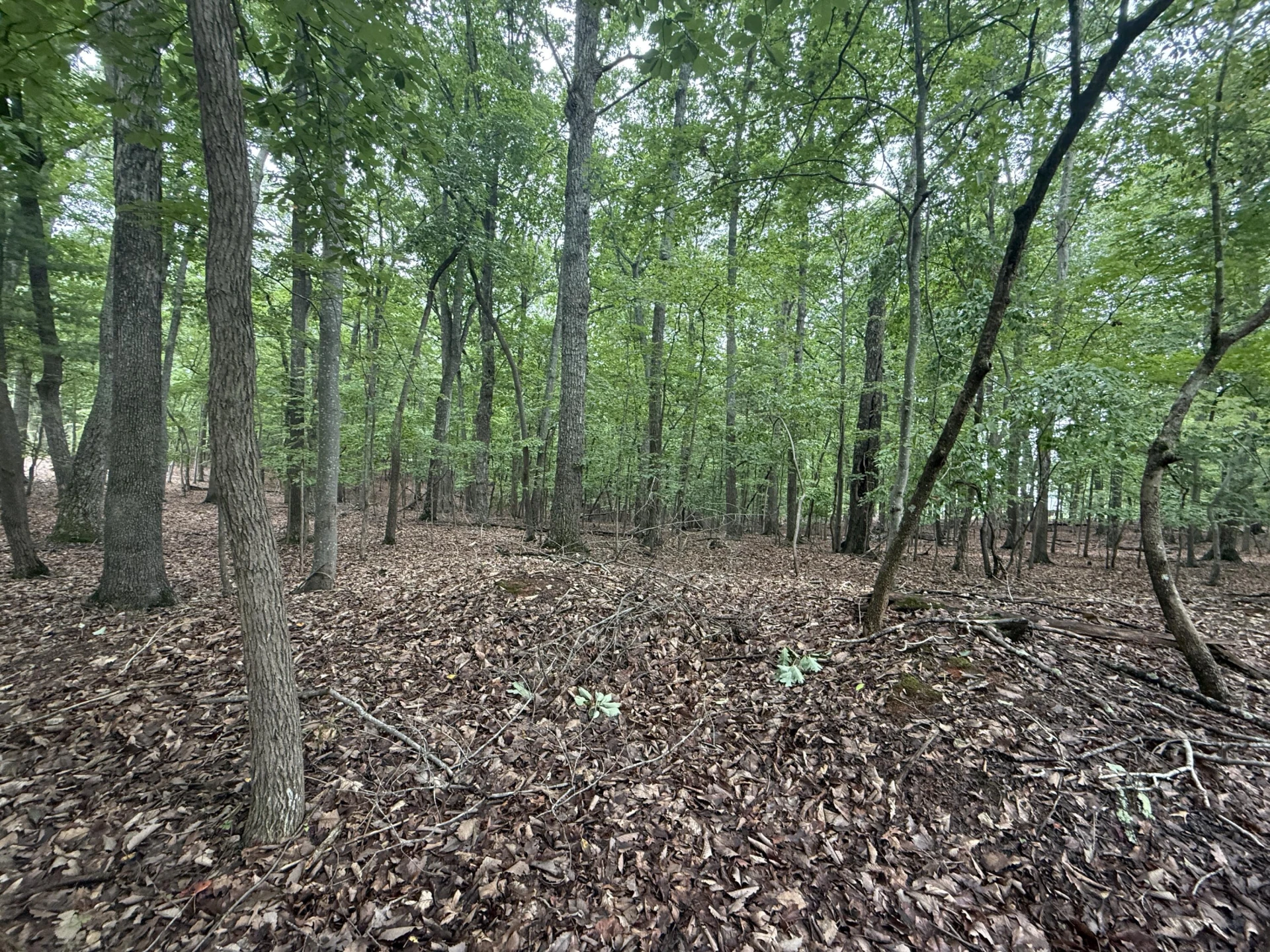 Lot 18 Saunders Point RD - Photo 2