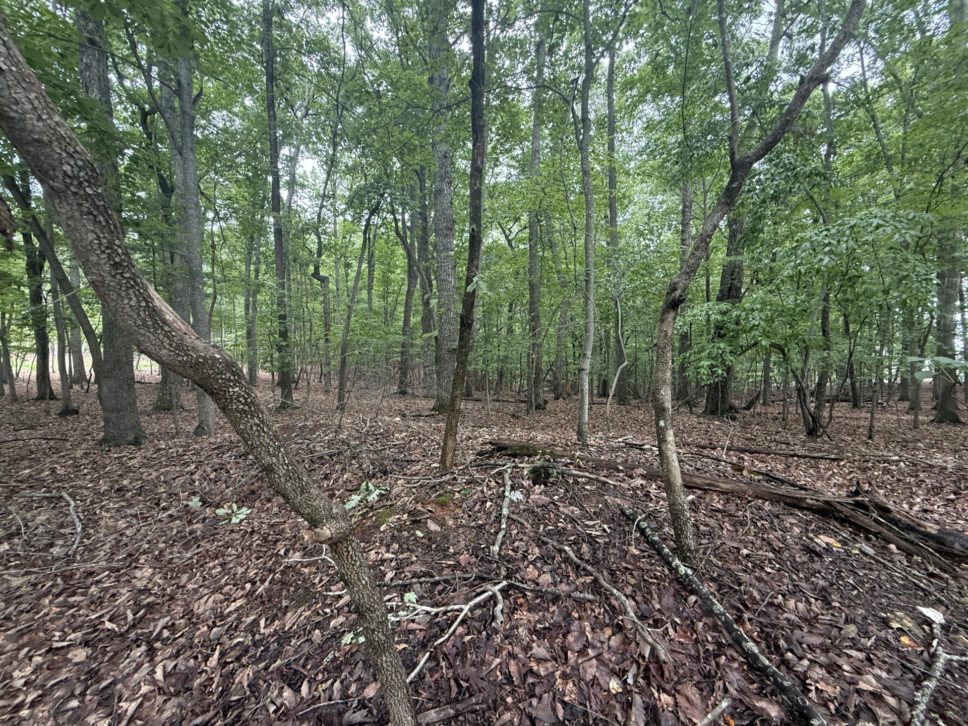 Lot 18 Saunders Point RD - Photo 3
