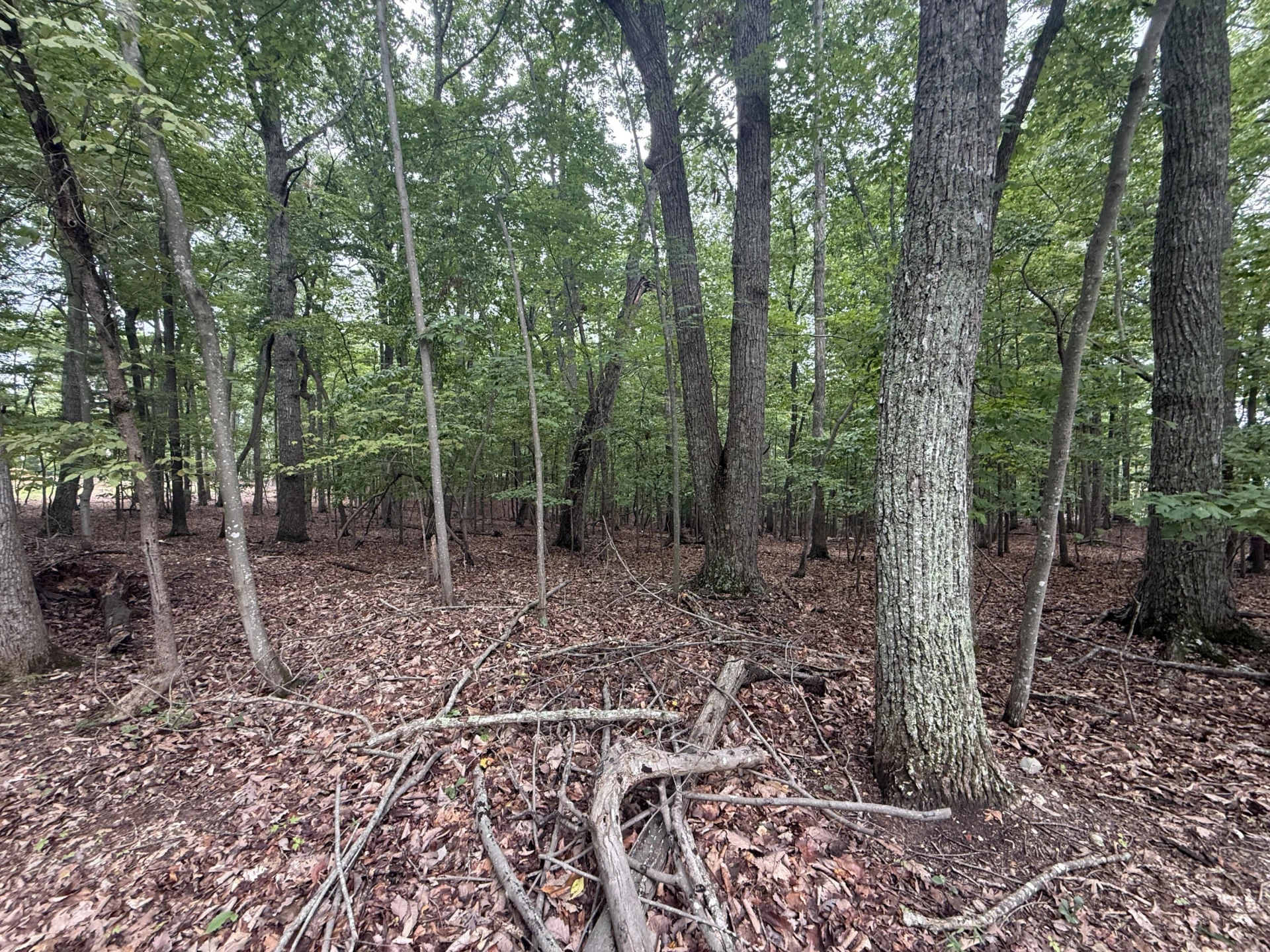 Lot 18 Saunders Point RD - Photo 4