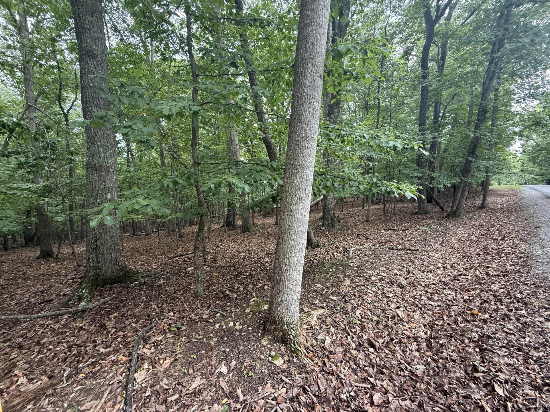Lot 18 Saunders Point RD - Photo 5