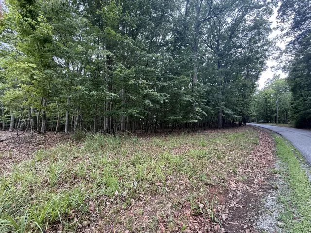 Lot 19 Saunders Point RD, Huddleston, VA, 24104