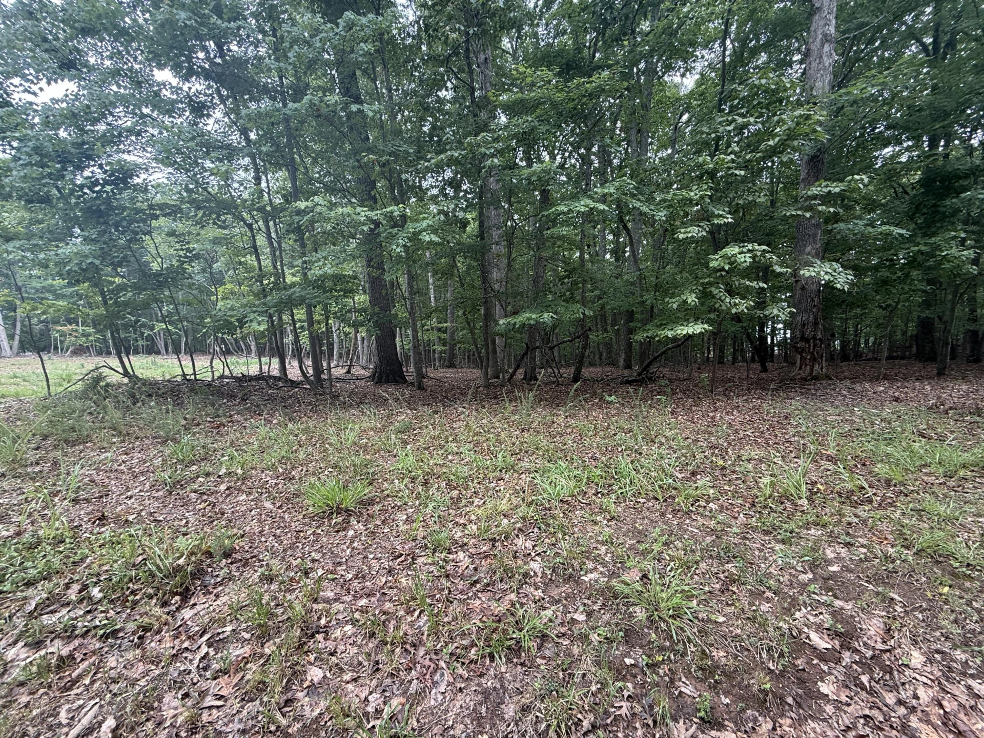 Lot 19 Saunders Point RD - Photo 2