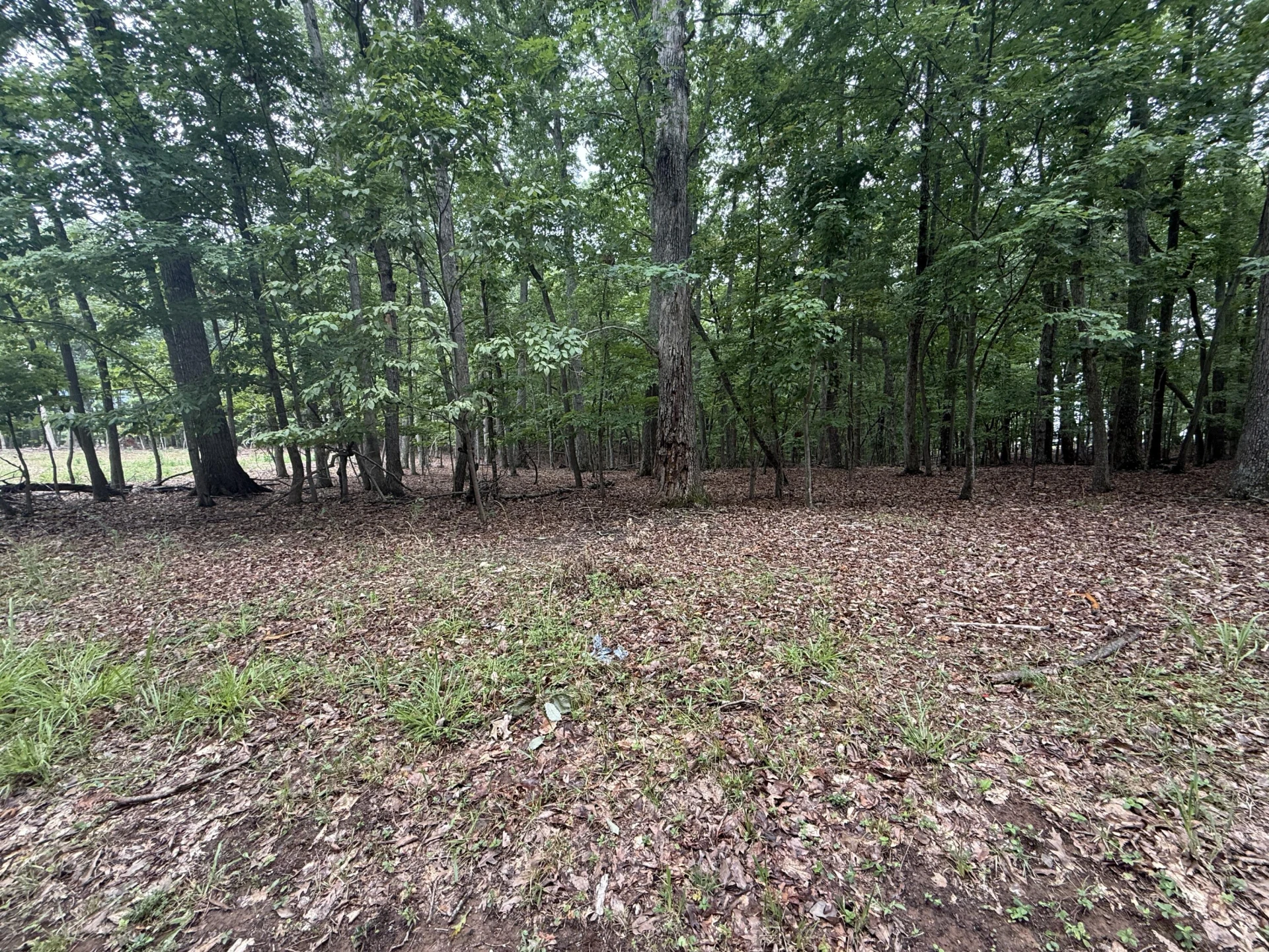 Lot 19 Saunders Point RD - Photo 3