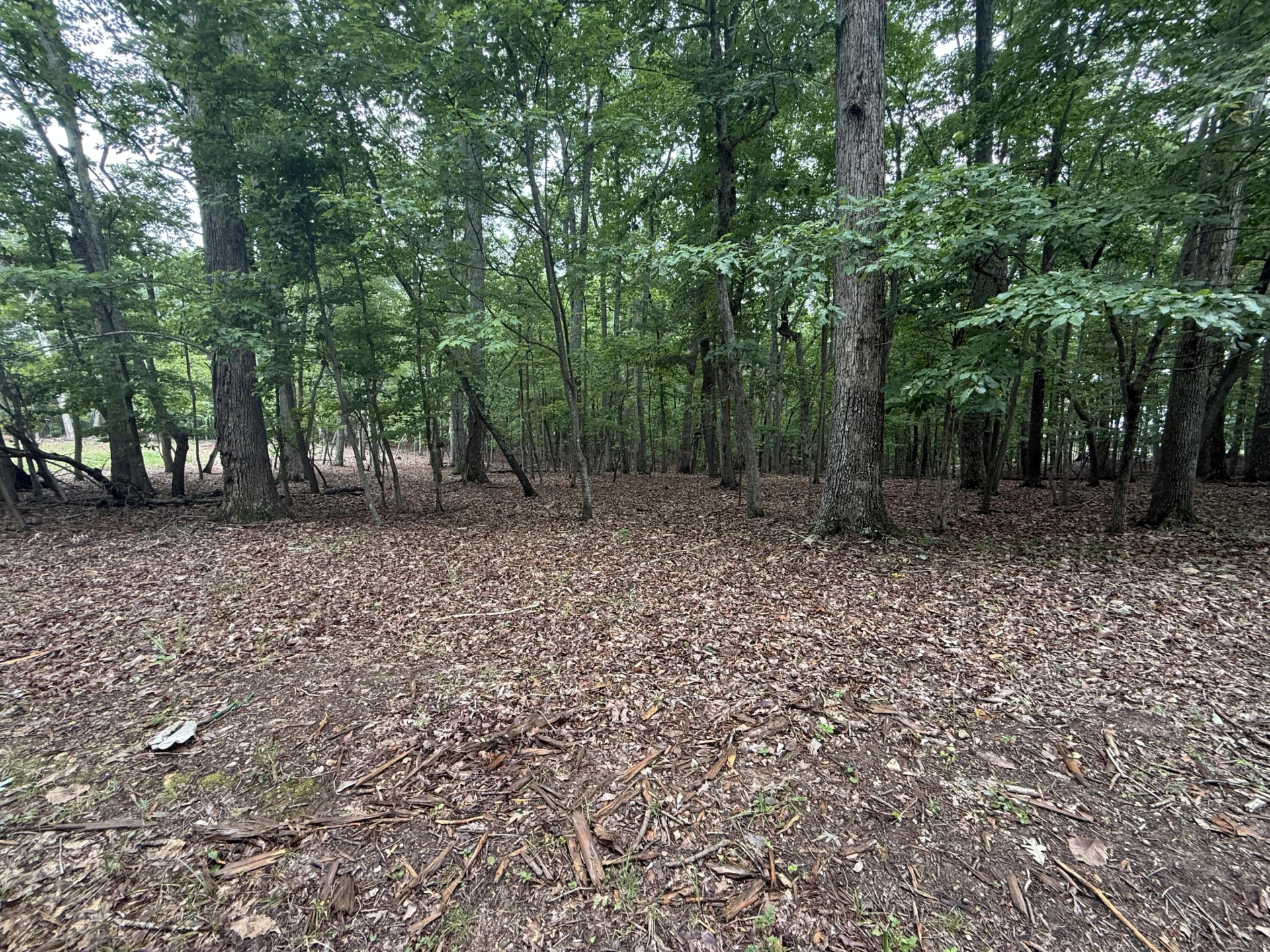 Lot 19 Saunders Point RD - Photo 4