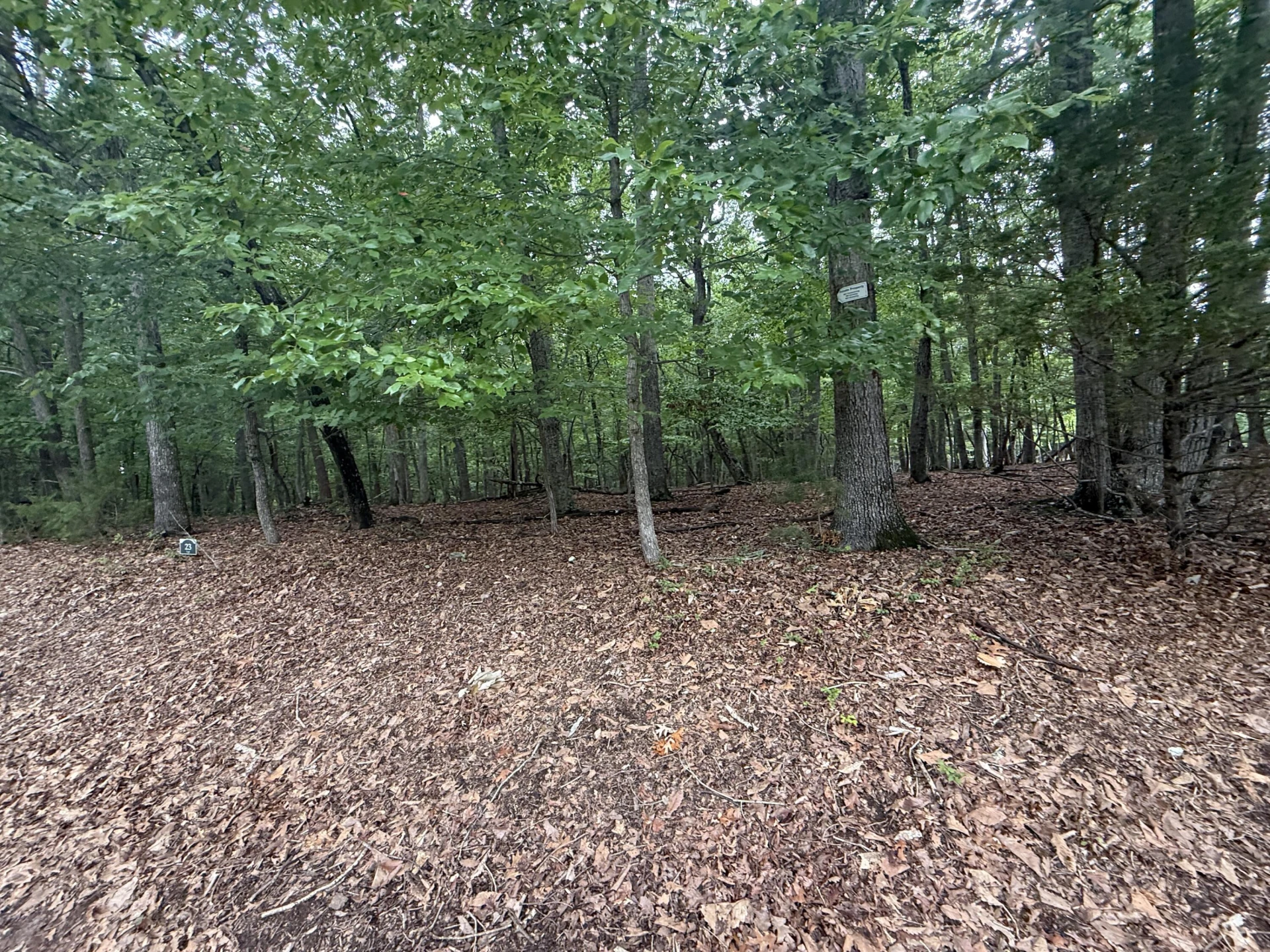 Lot 23 Lee DR - Photo 3