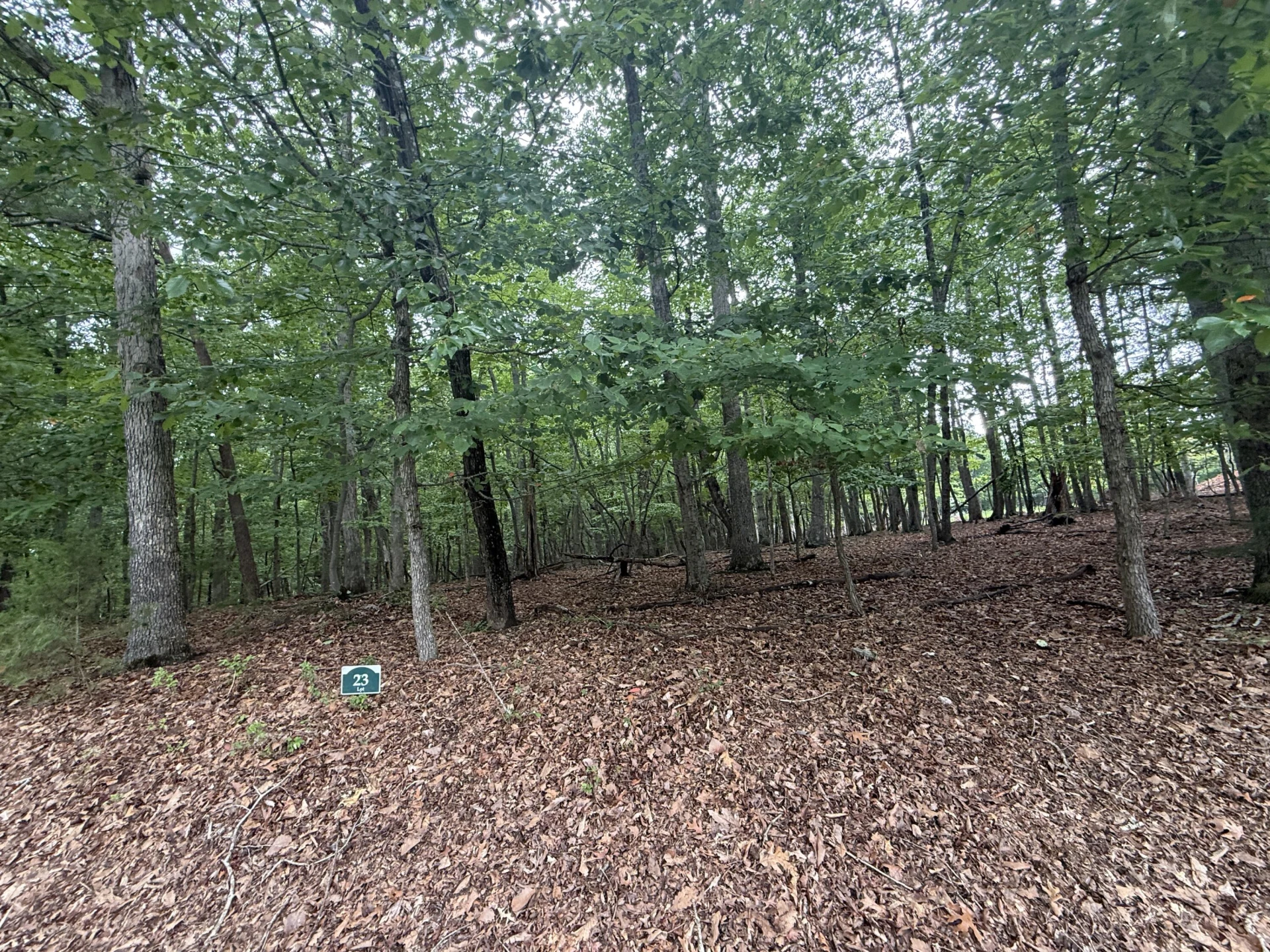 Lot 23 Lee DR - Photo 4