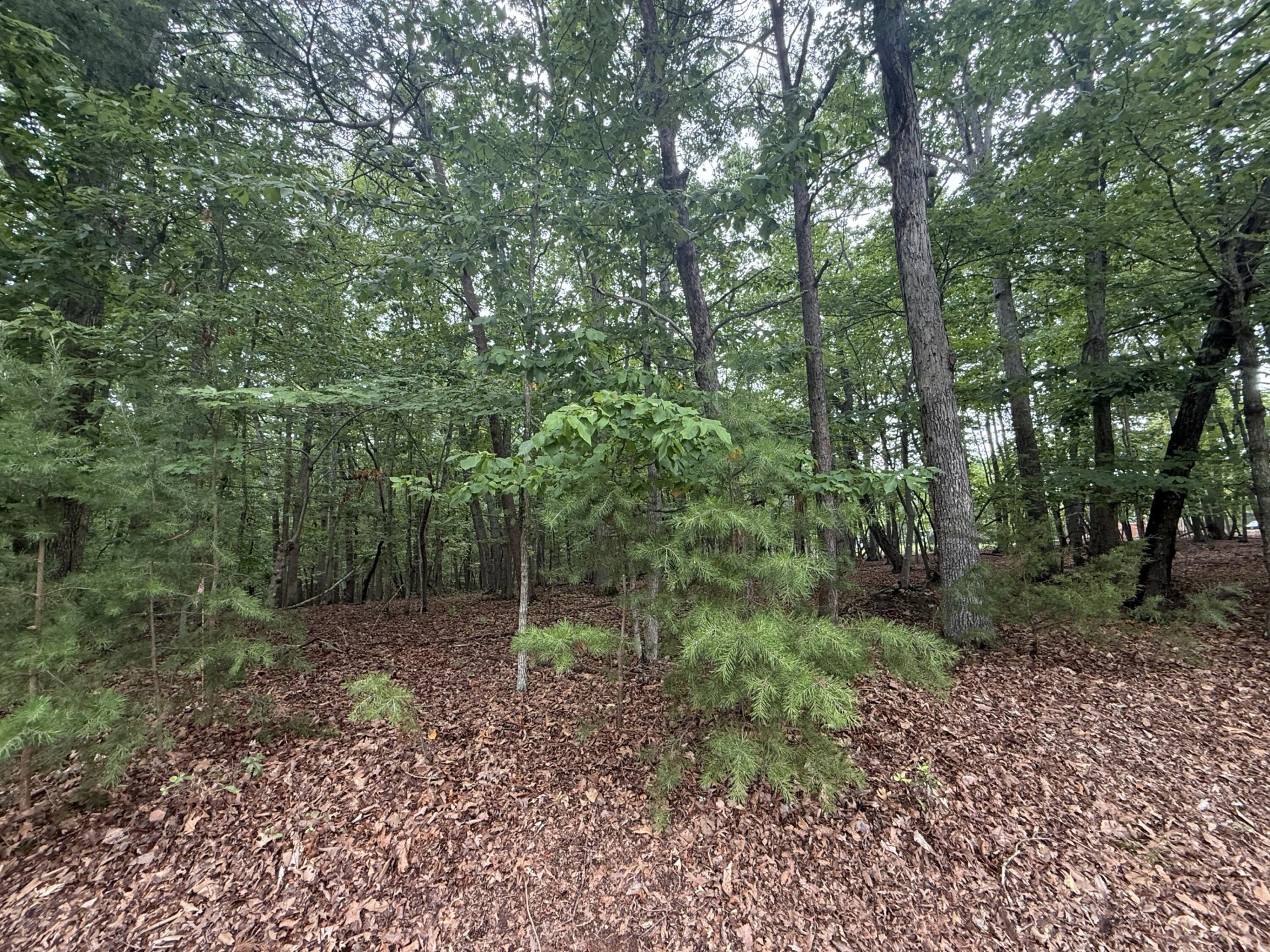 Lot 23 Lee DR - Photo 5