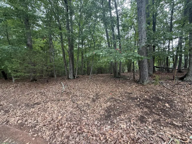 Lot 24 Lee DR, Huddleston, VA, 24104