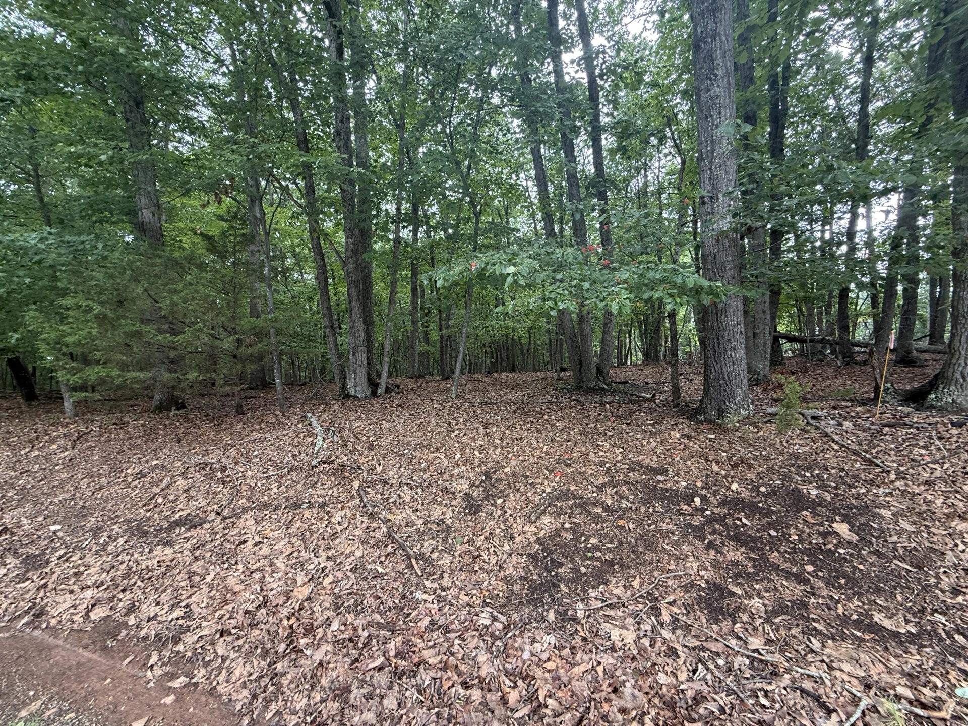 Lot 24 Lee DR