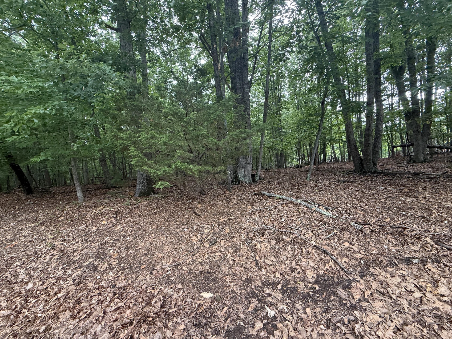 Lot 24 Lee DR - Photo 2
