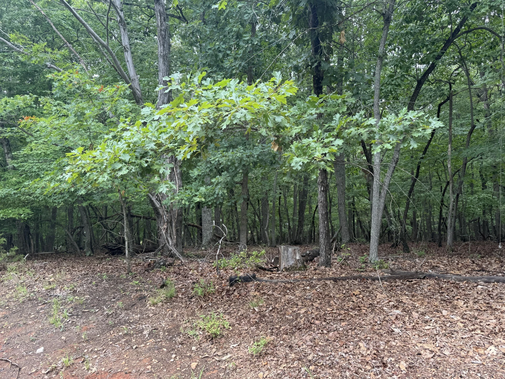 Lot 24 Lee DR - Photo 4