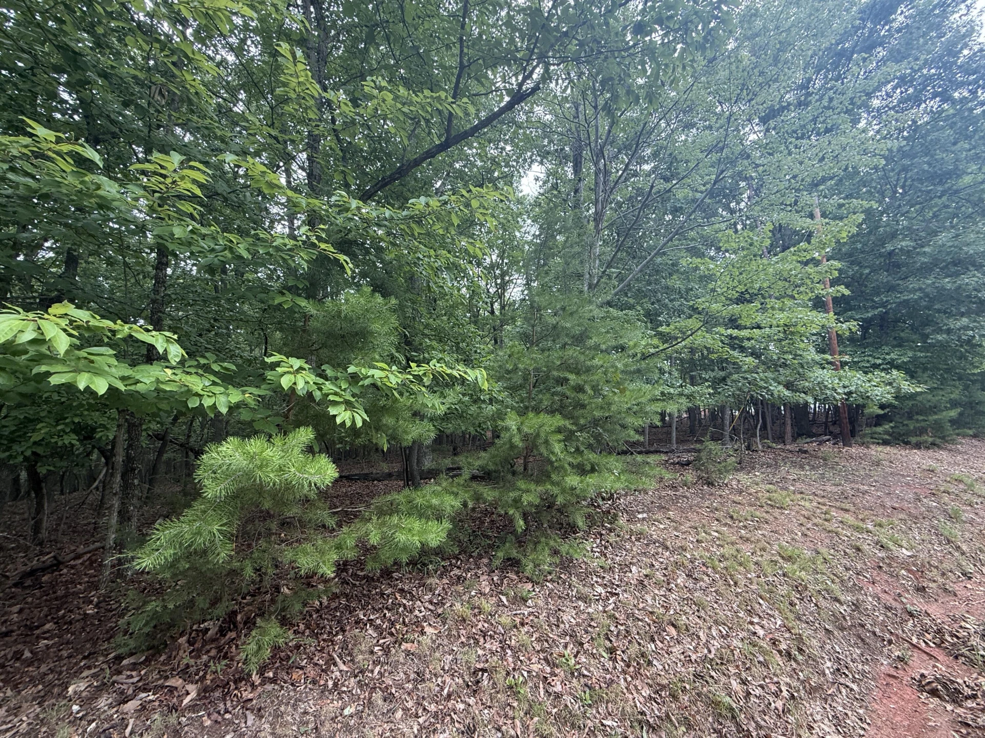Lot 24 Lee DR - Photo 5