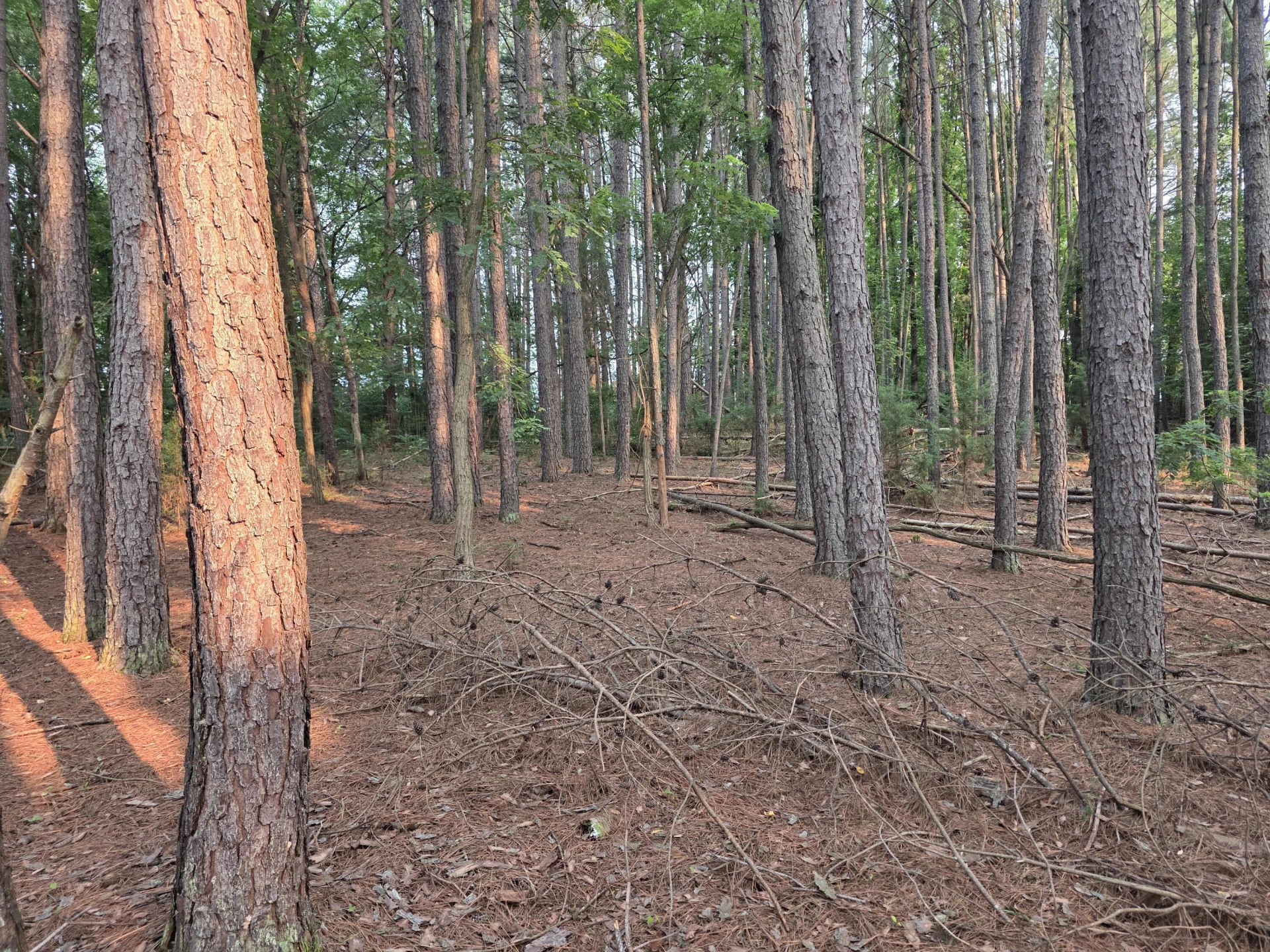 Lot 2 Morgans Fork RD - Photo 3