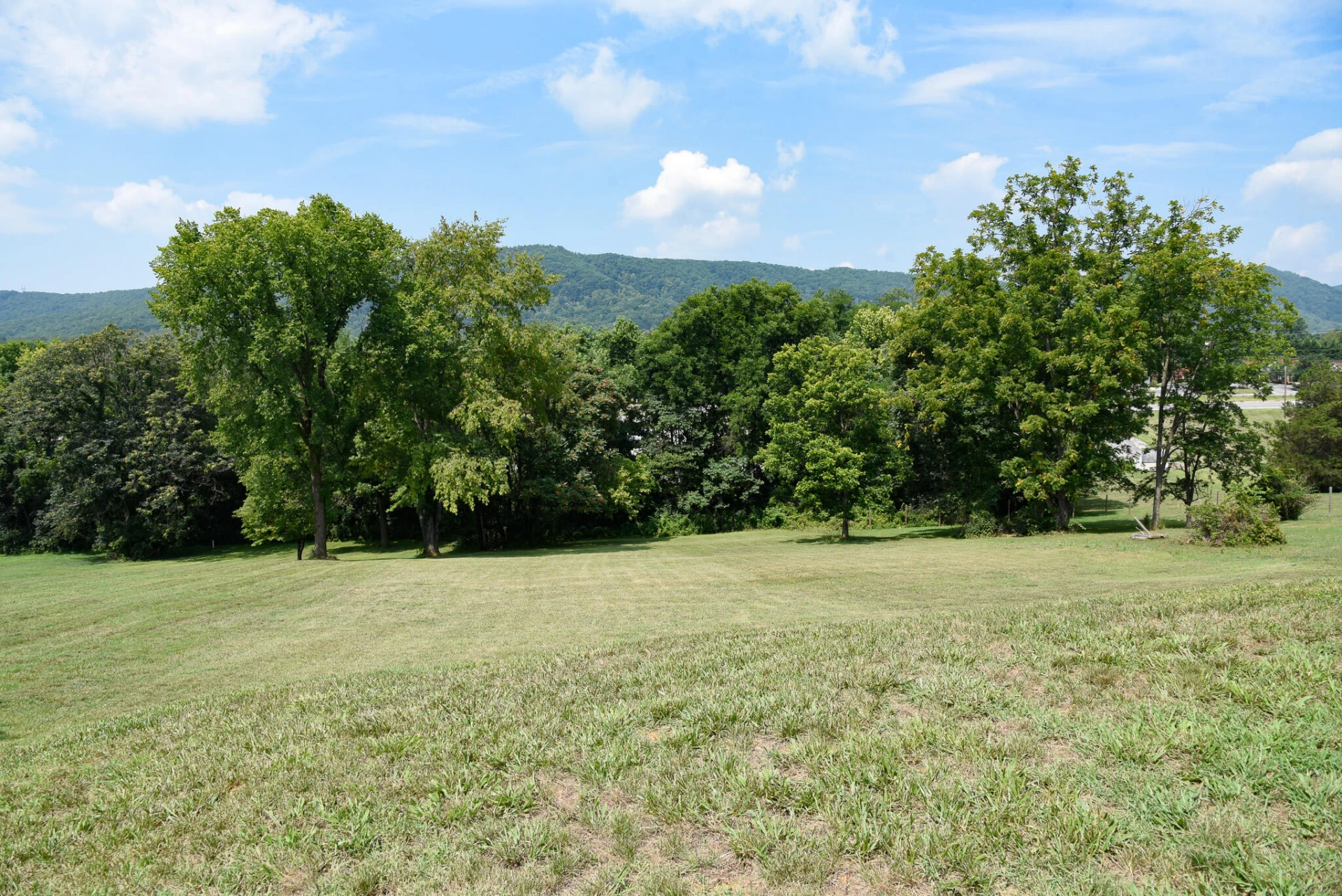 321 Orchard DR - Photo 31