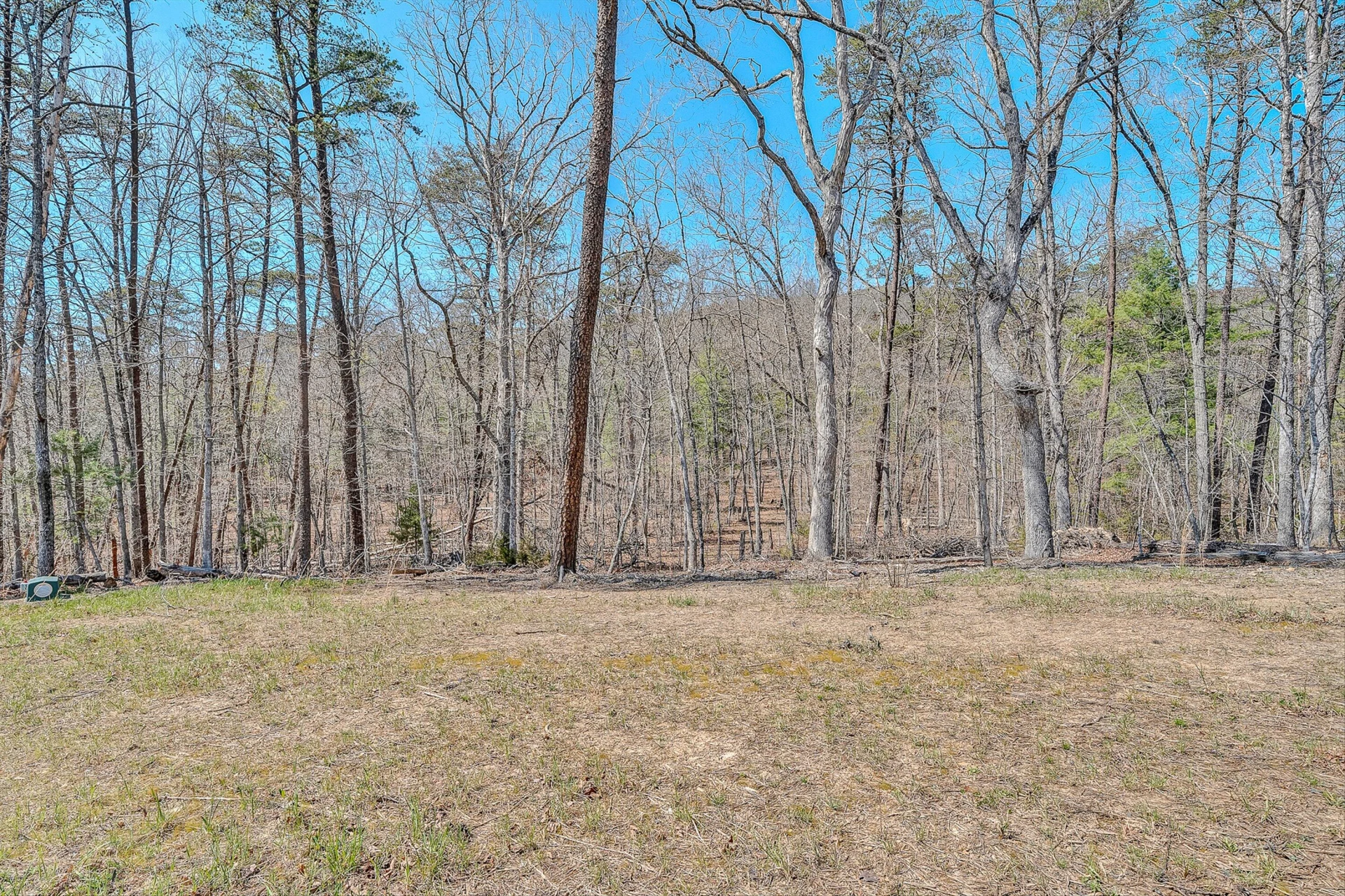 3615 Knob Forest CIR - Photo 33