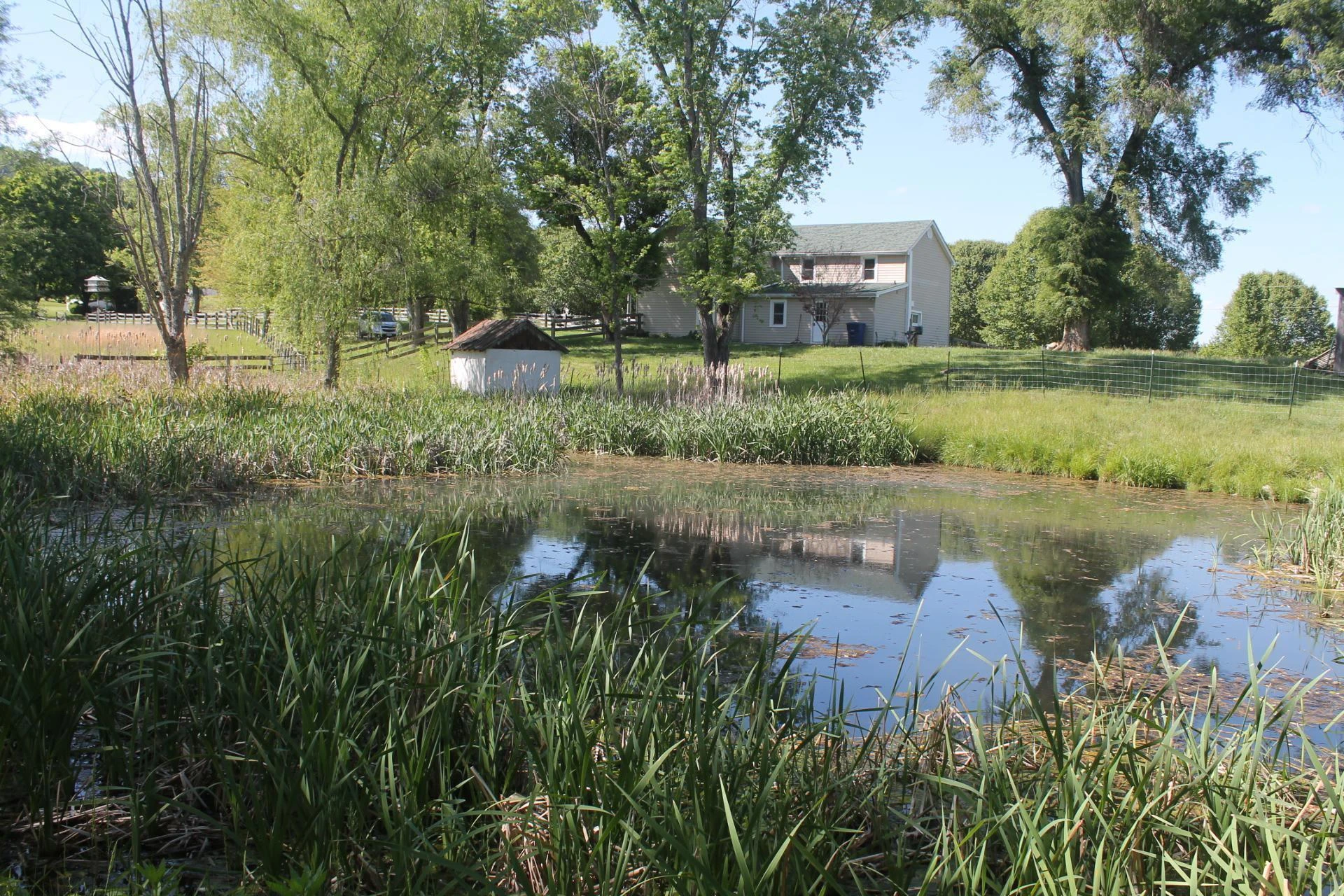 2768 Ellett RD - Photo 36