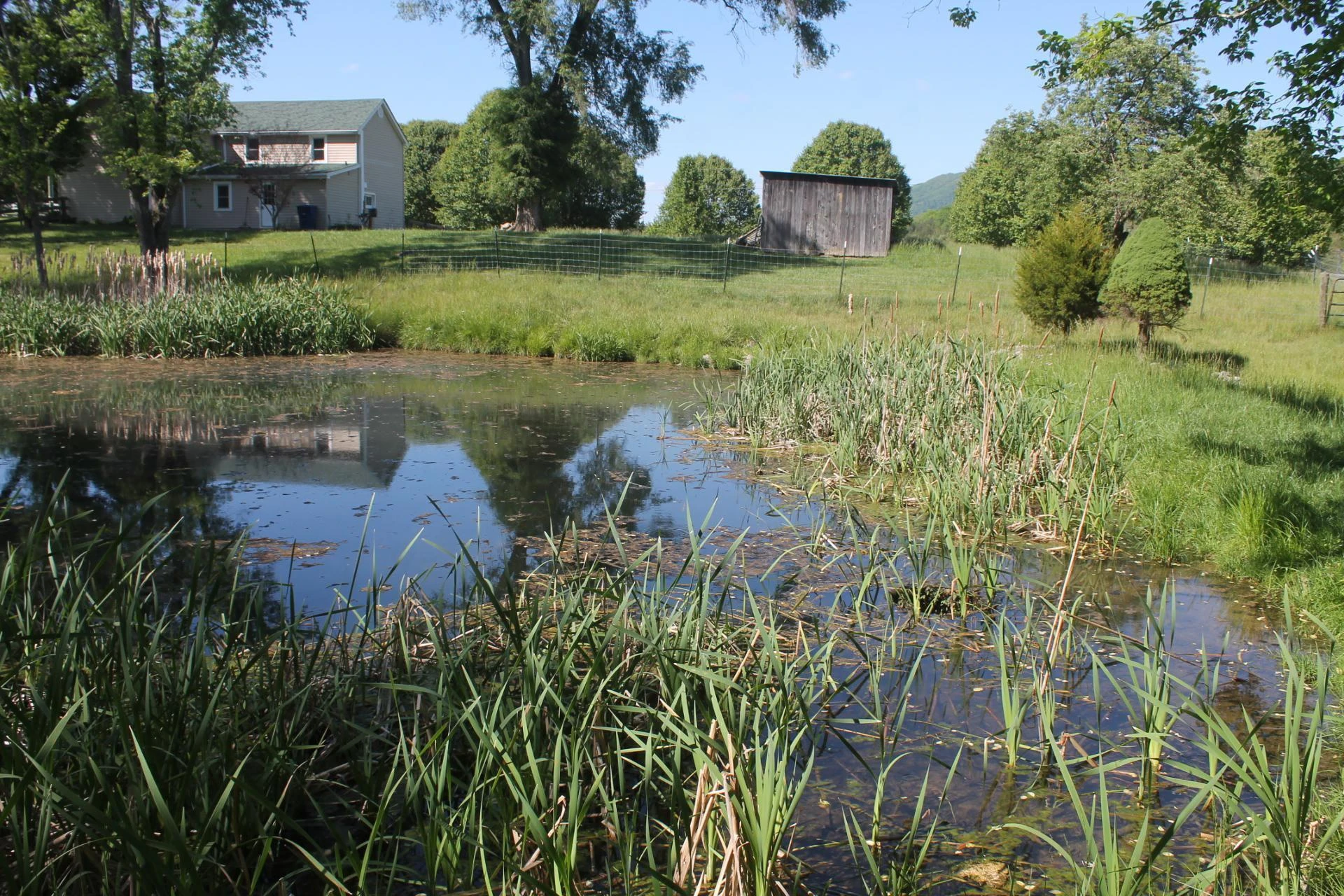 2768 Ellett RD - Photo 37