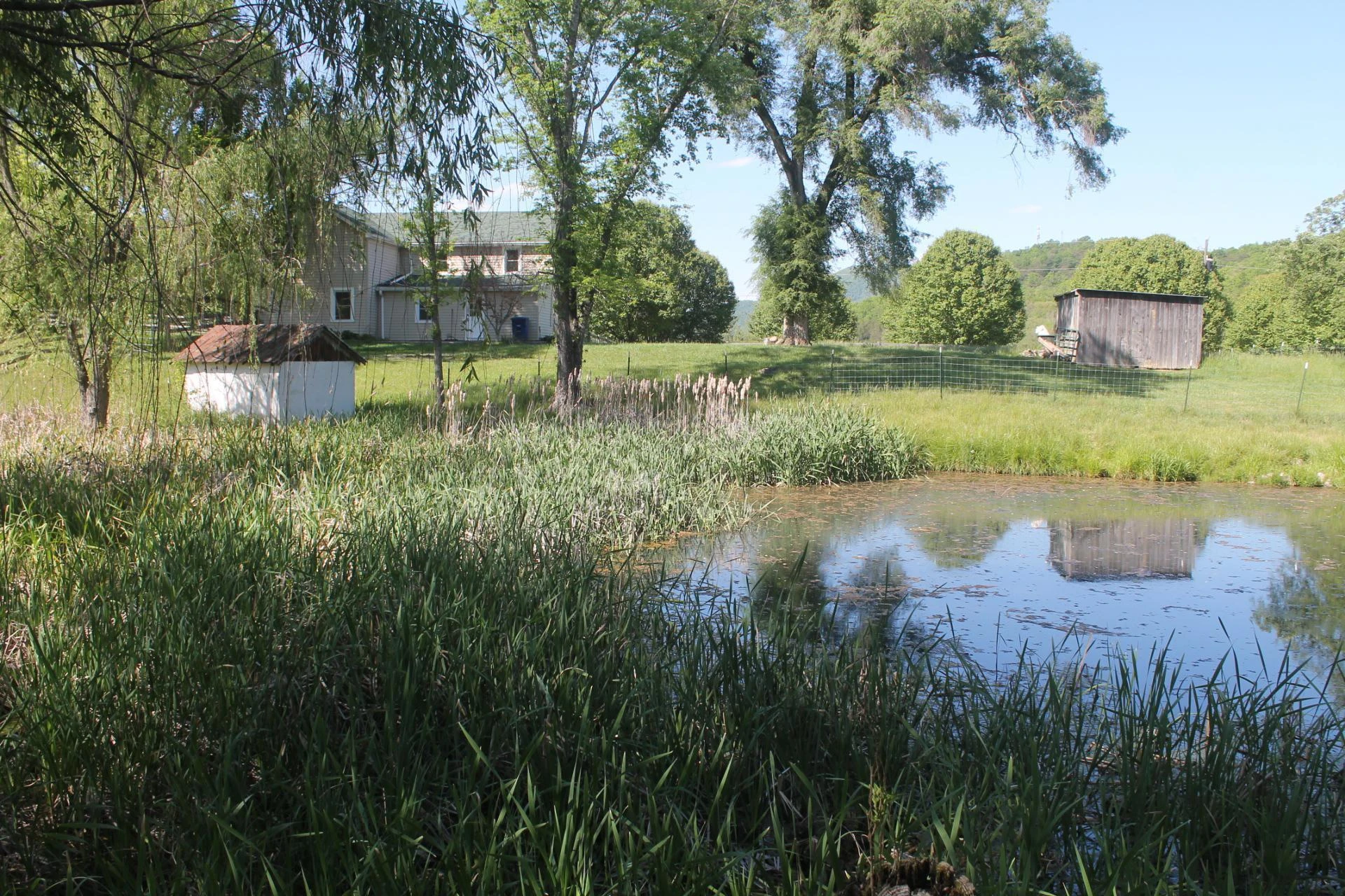 2768 Ellett RD - Photo 38