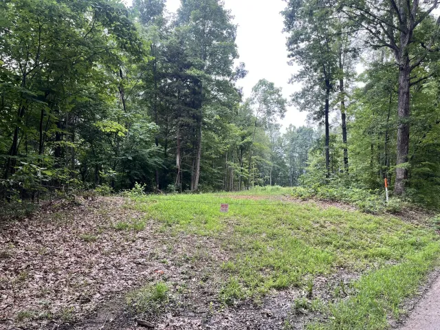 0 Timber Line RD, Ferrum, VA, 24088