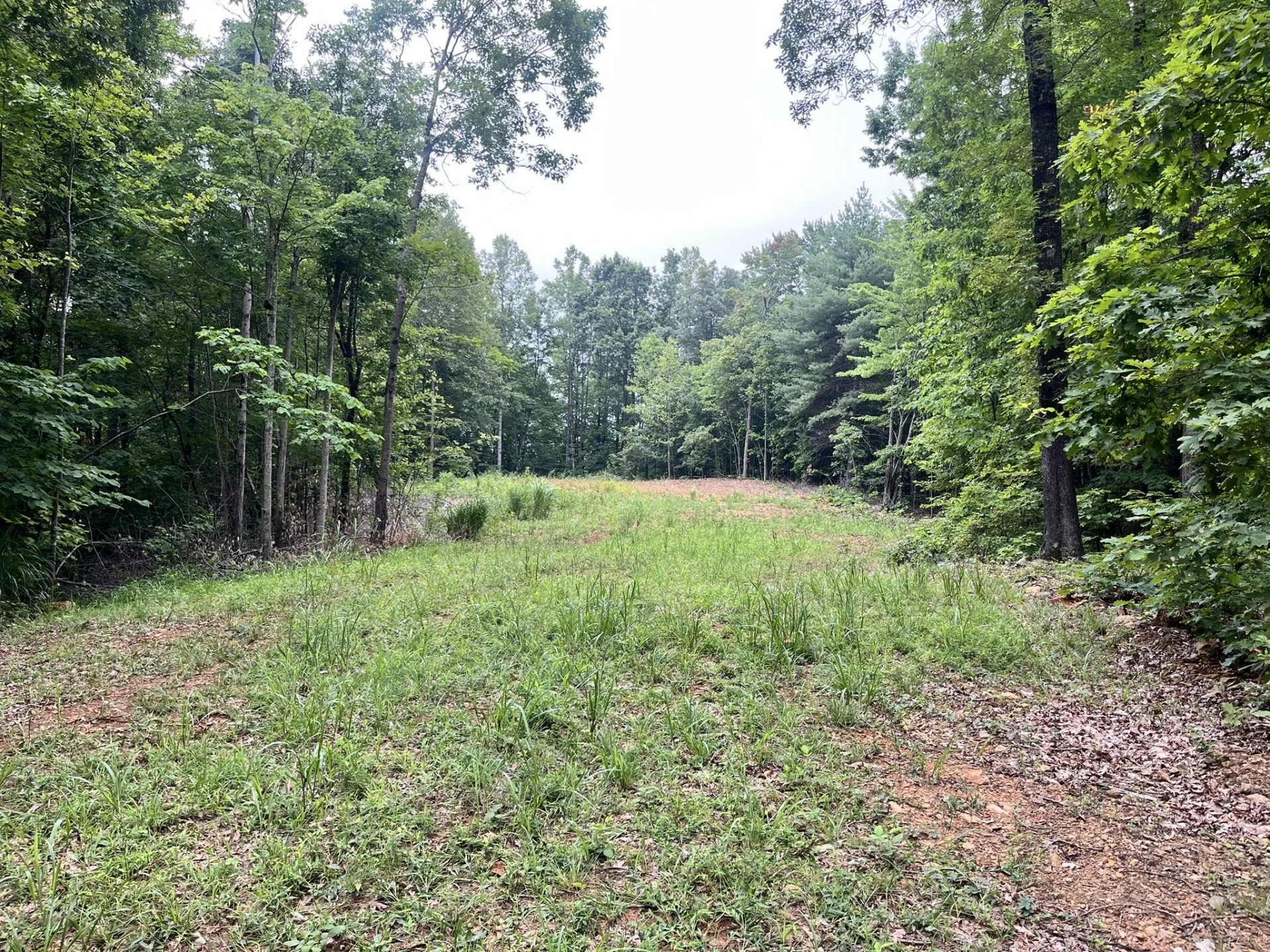 0 Timber Line RD - Photo 2