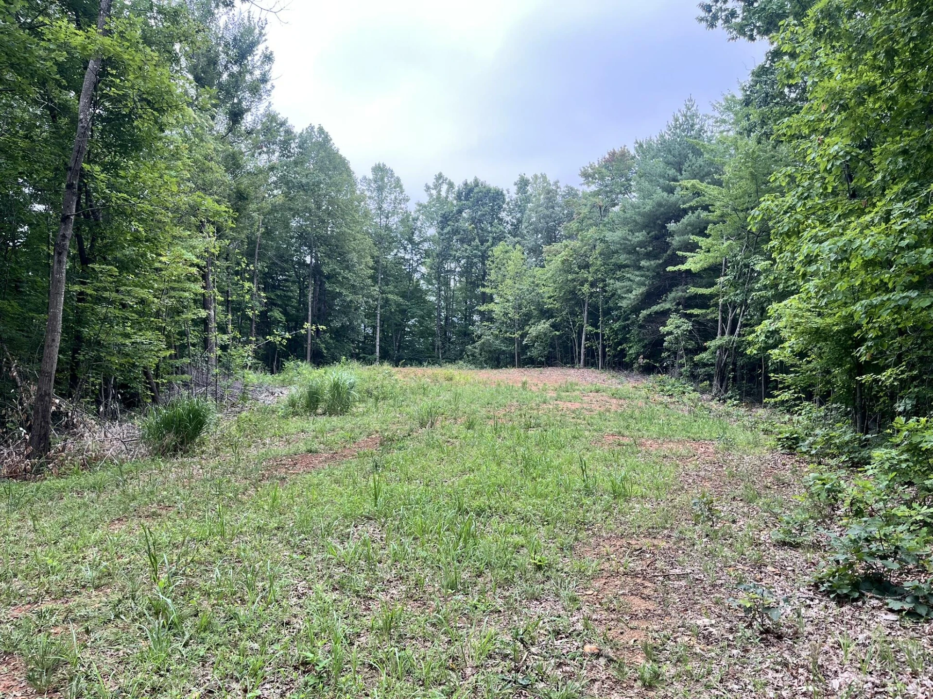 0 Timber Line RD - Photo 3