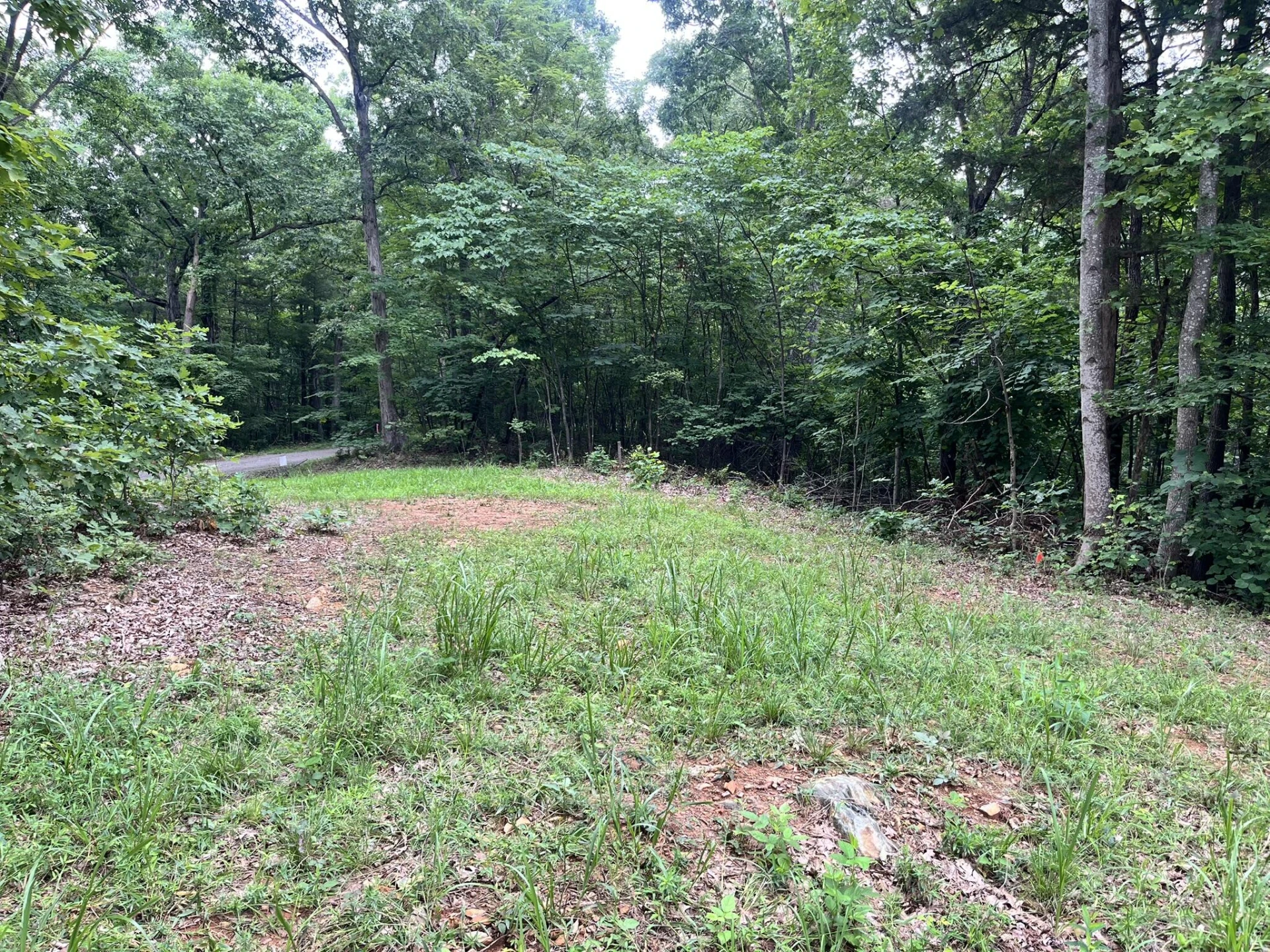 0 Timber Line RD - Photo 4