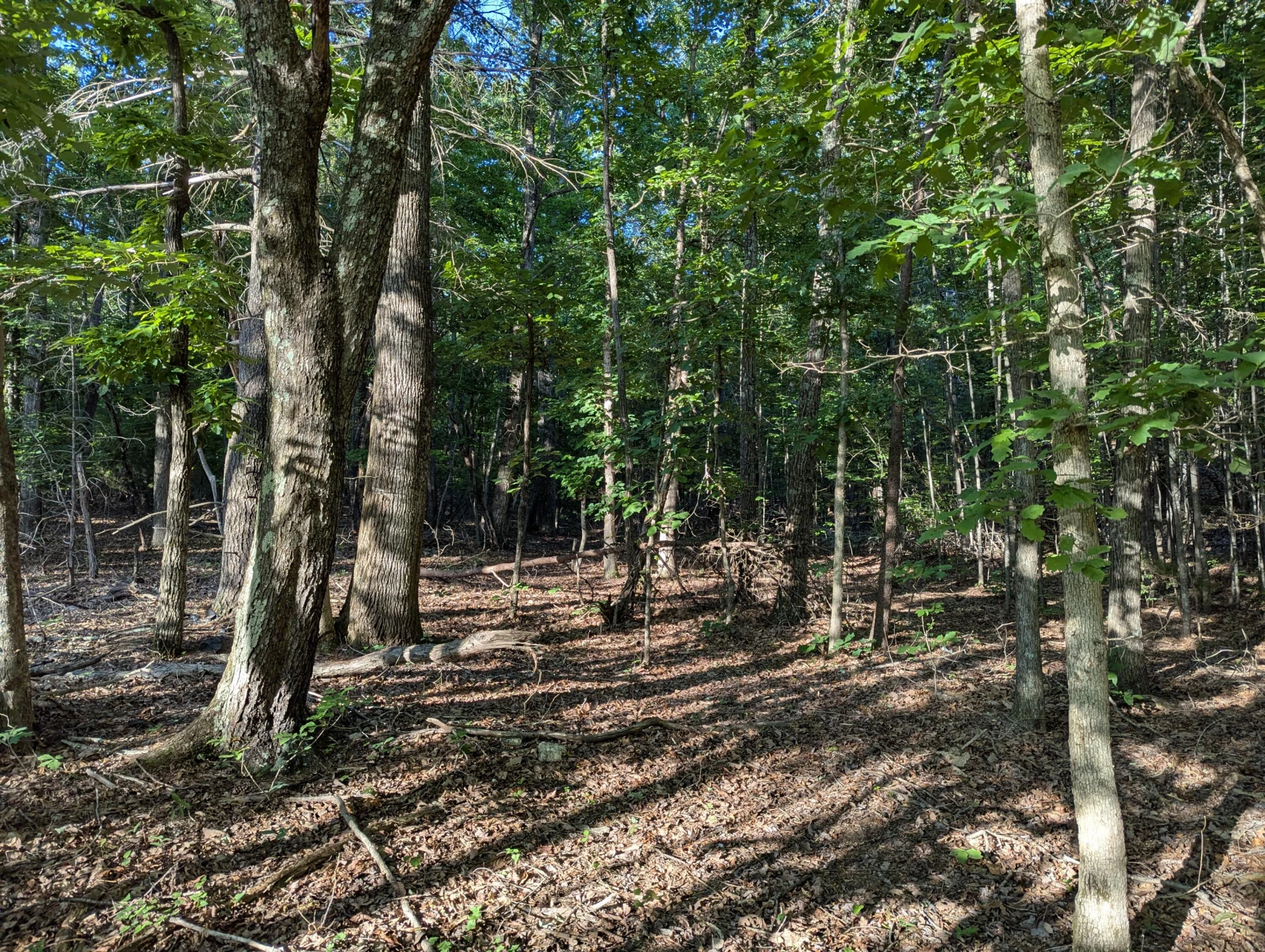 0 Old Forge RD - Photo 13
