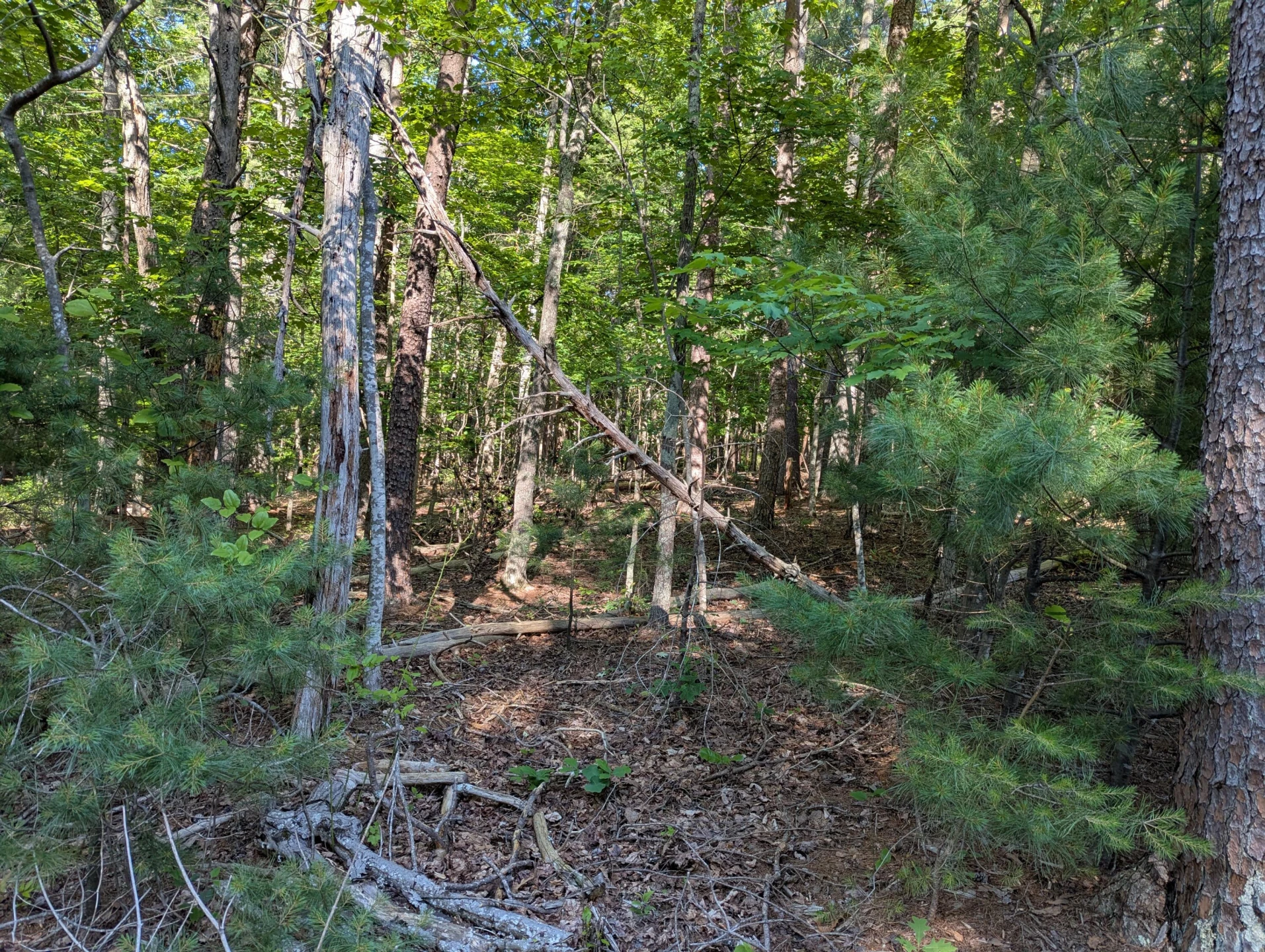 0 Old Forge RD - Photo 3