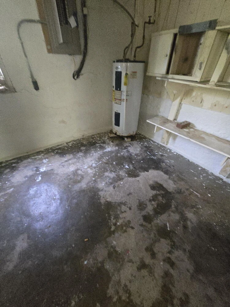 2303 King ST NE - Photo 11
