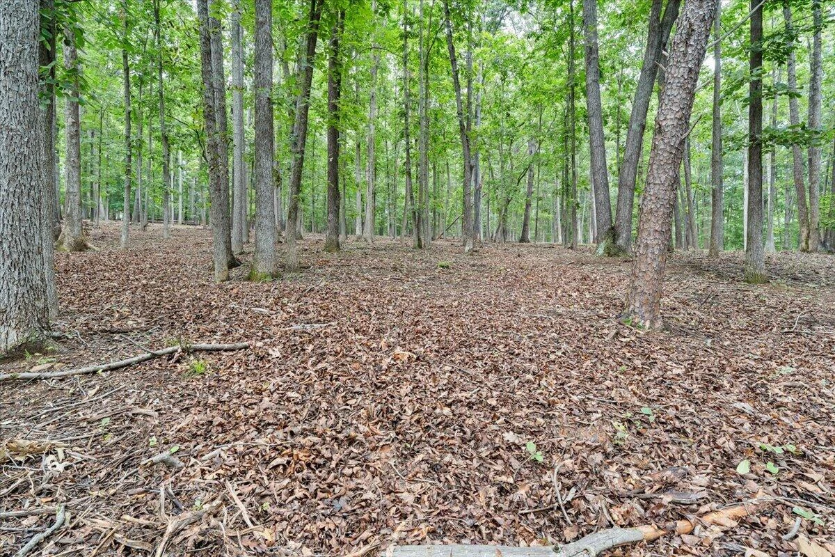 166 Limerick LN - Photo 82