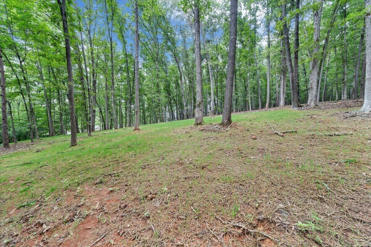 166 Limerick LN - Photo 83