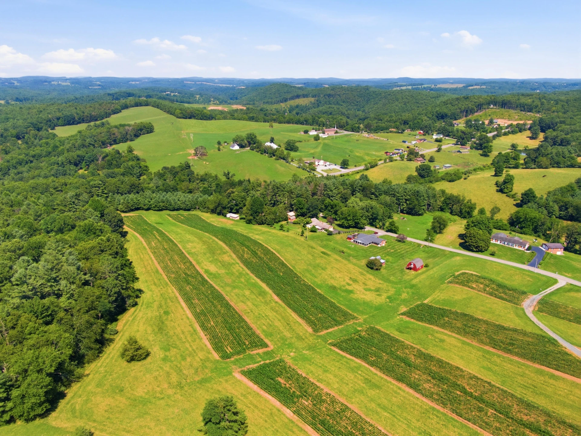 TBD Ridgeview RD - Photo 12