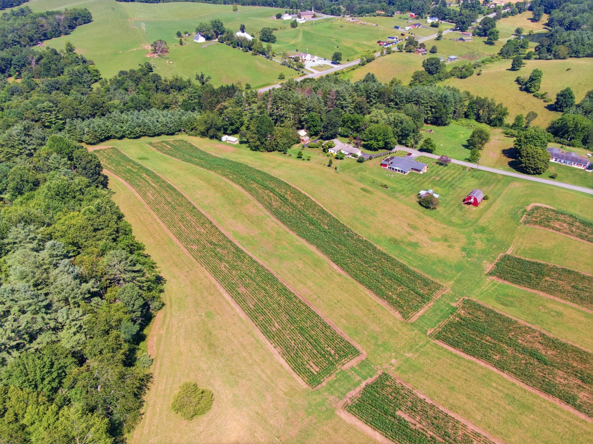TBD Ridgeview RD - Photo 13