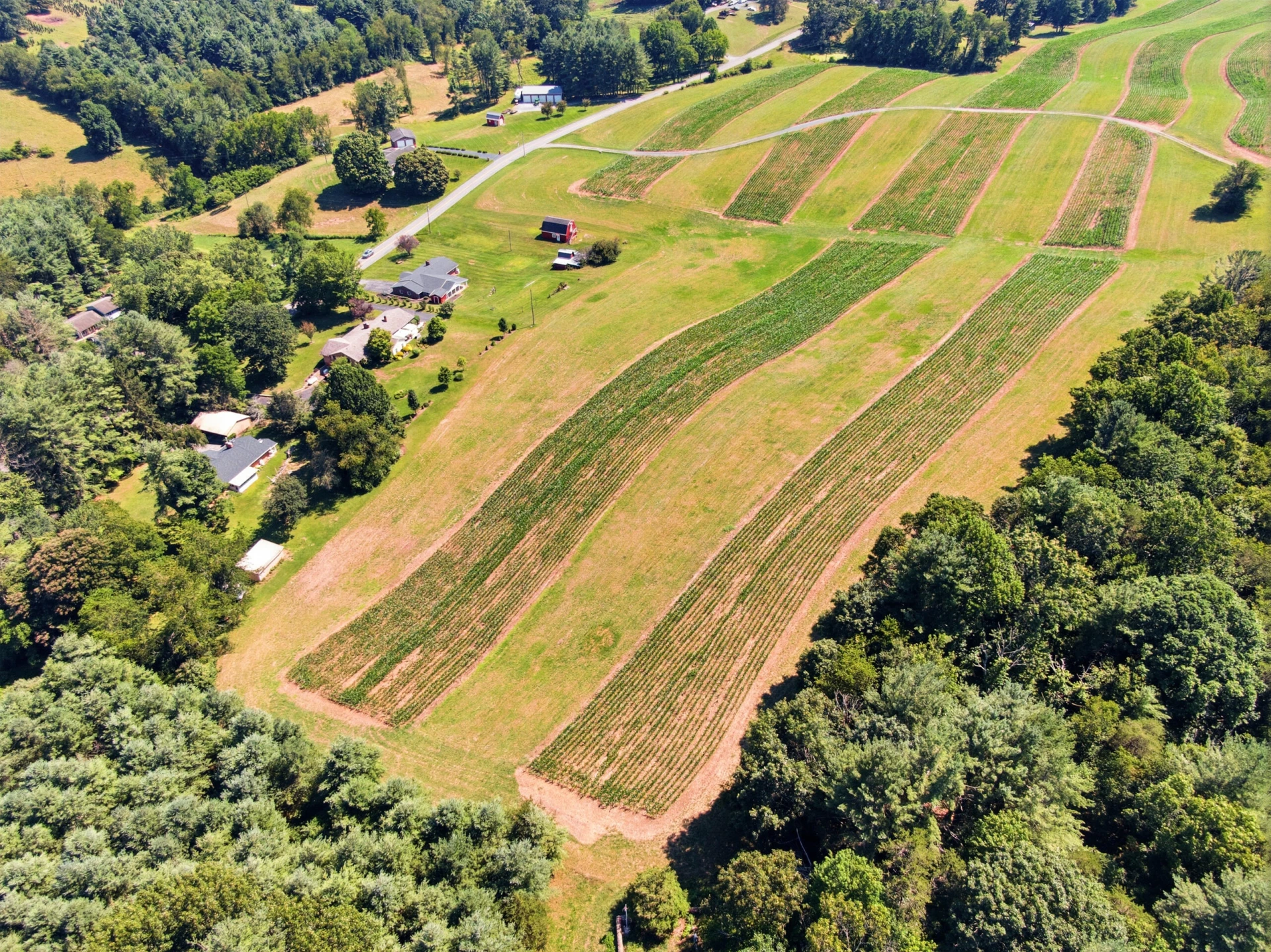 TBD Ridgeview RD - Photo 14