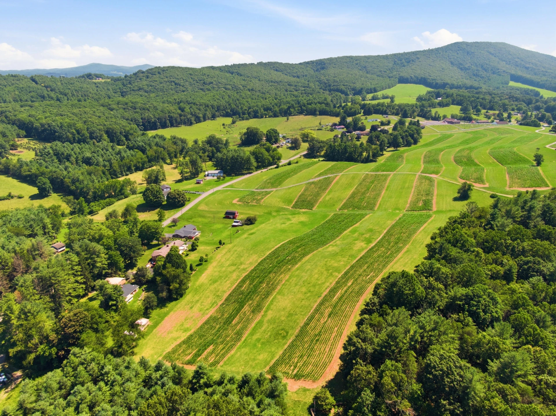 TBD Ridgeview RD - Photo 15