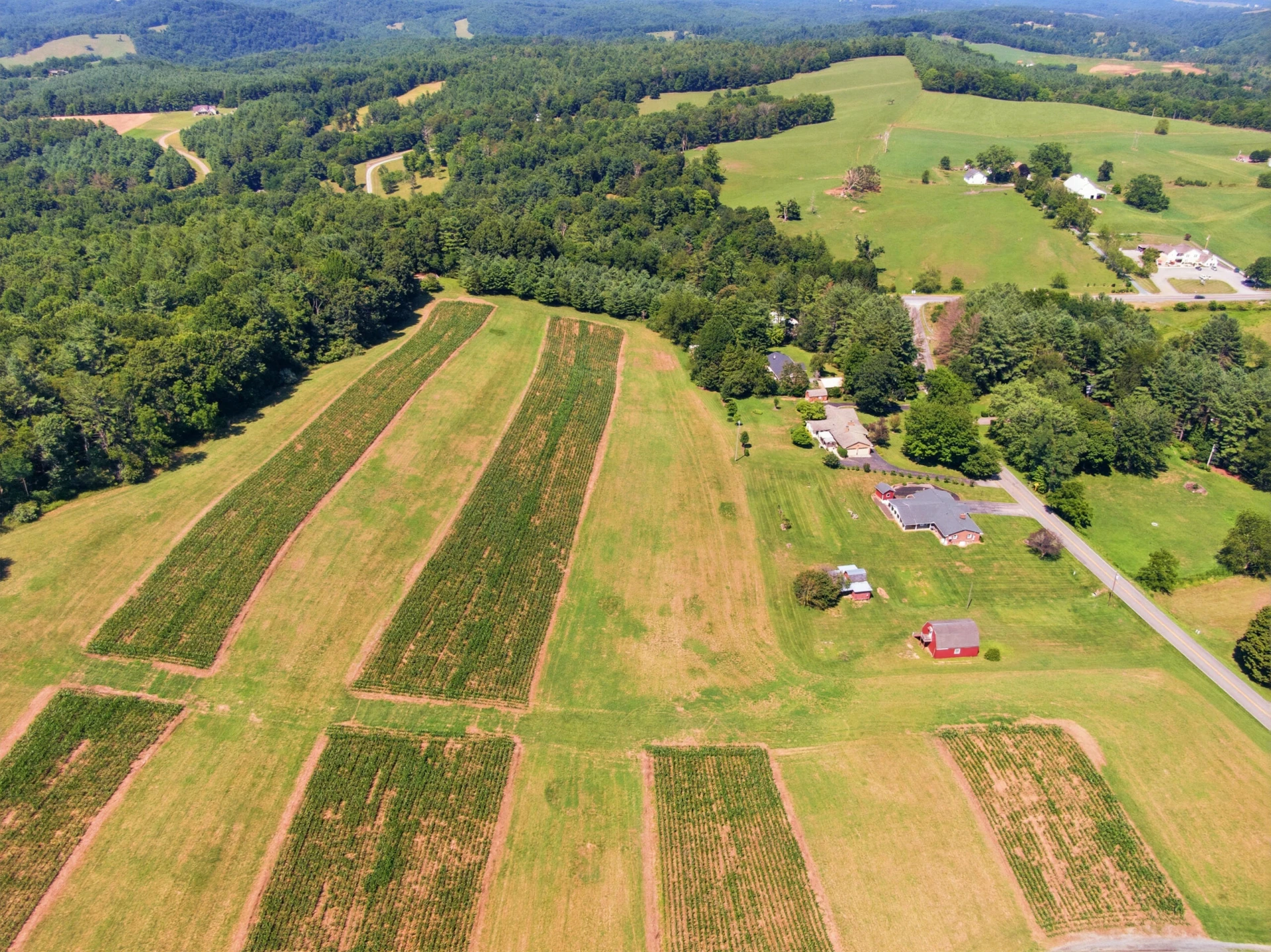 TBD Ridgeview RD - Photo 9