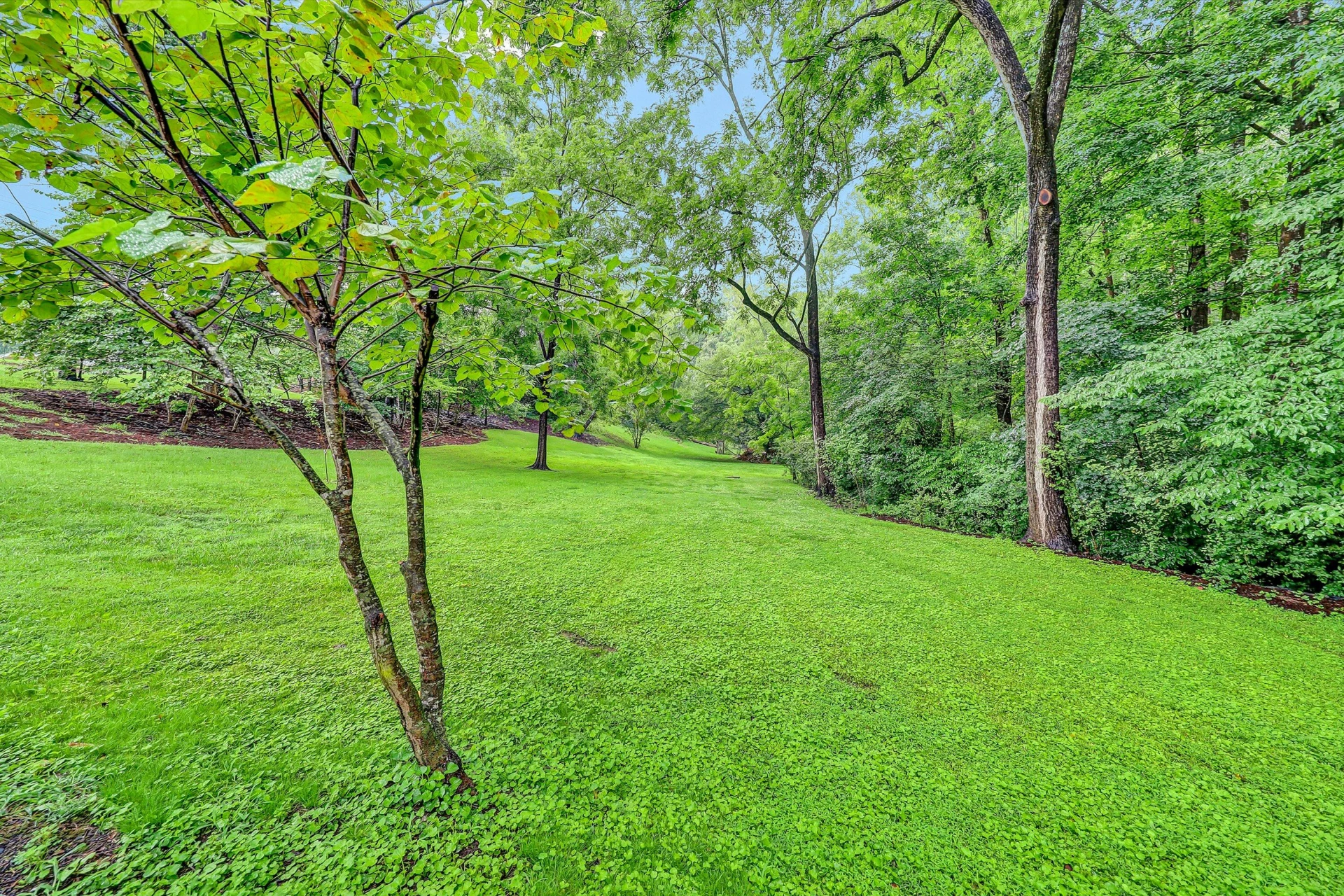 182 Ridgewood RD - Photo 29