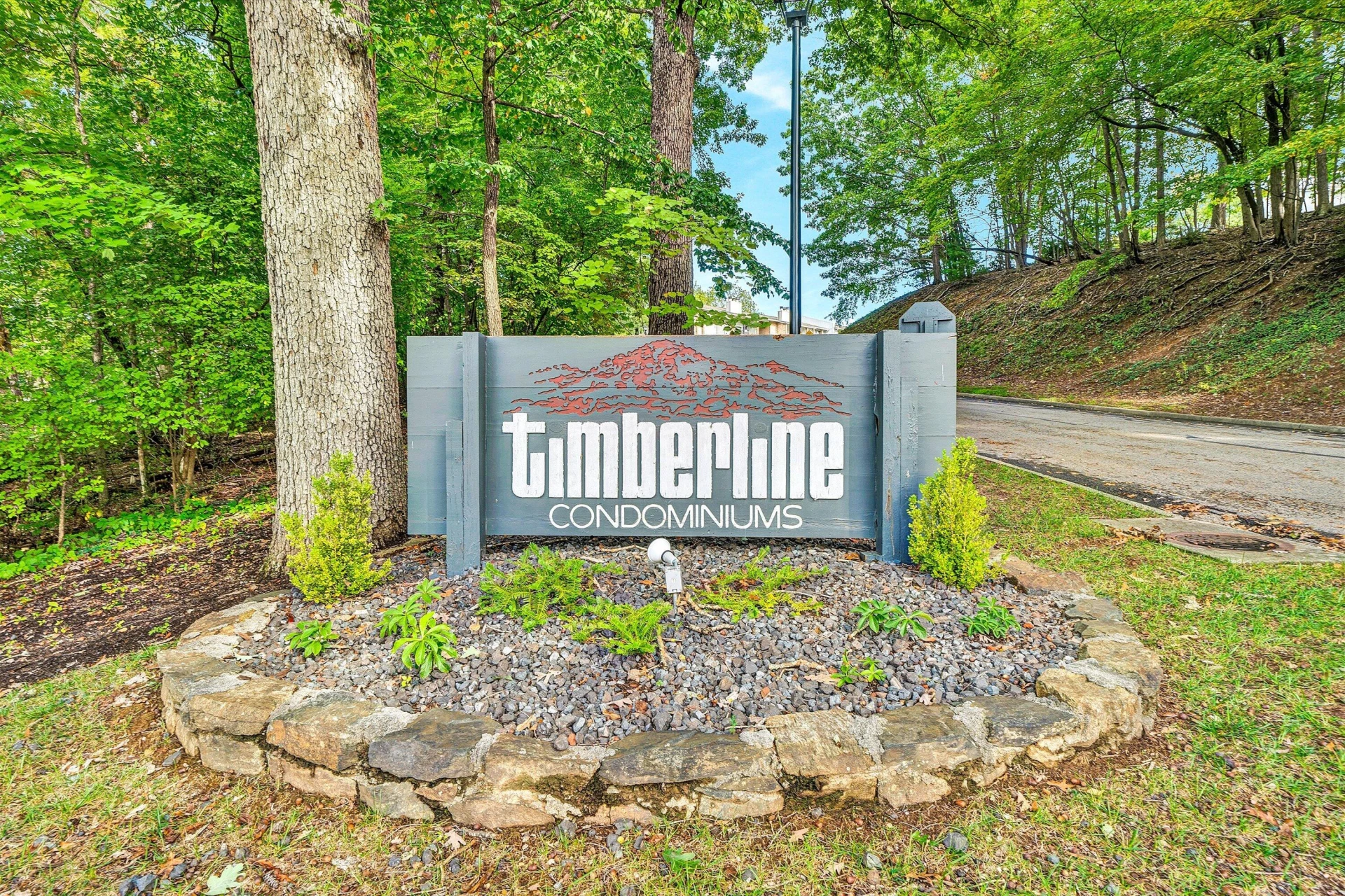 3559 Timberline TRL - Photo 16