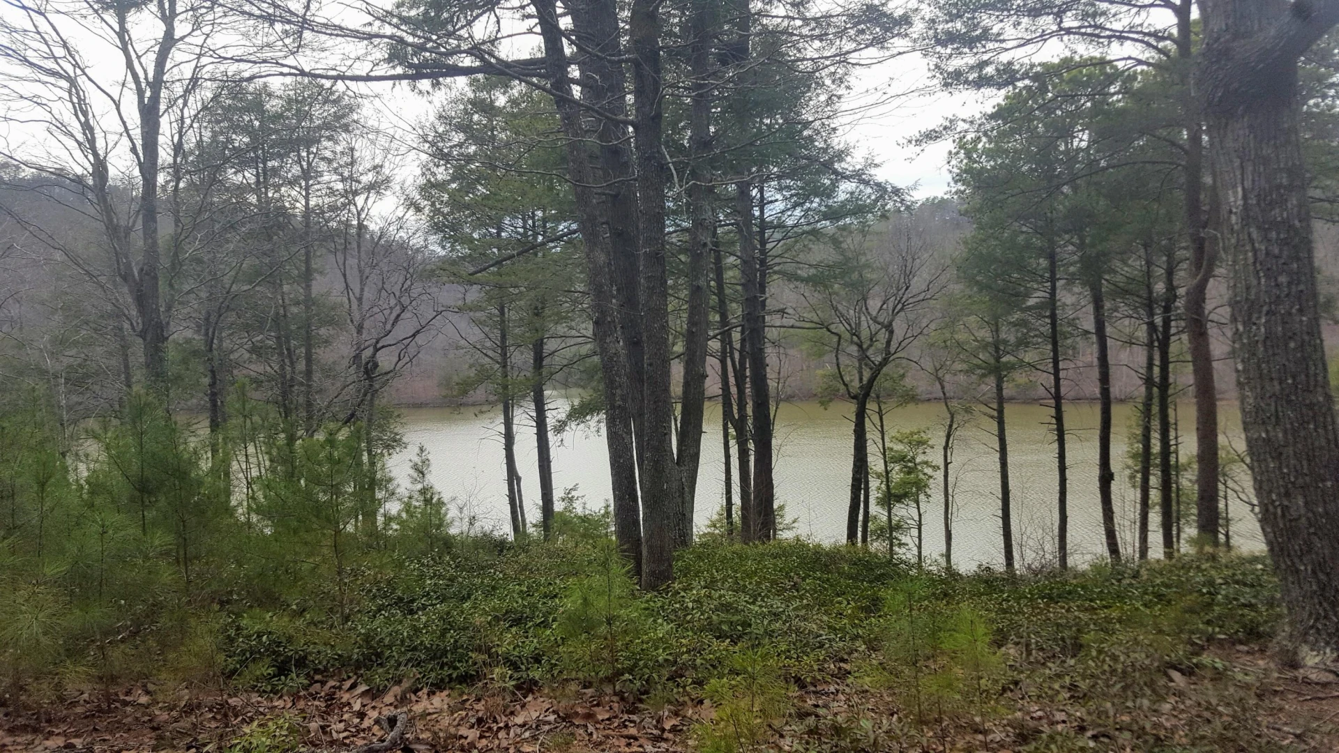 117 Greenberry DR - Photo 11