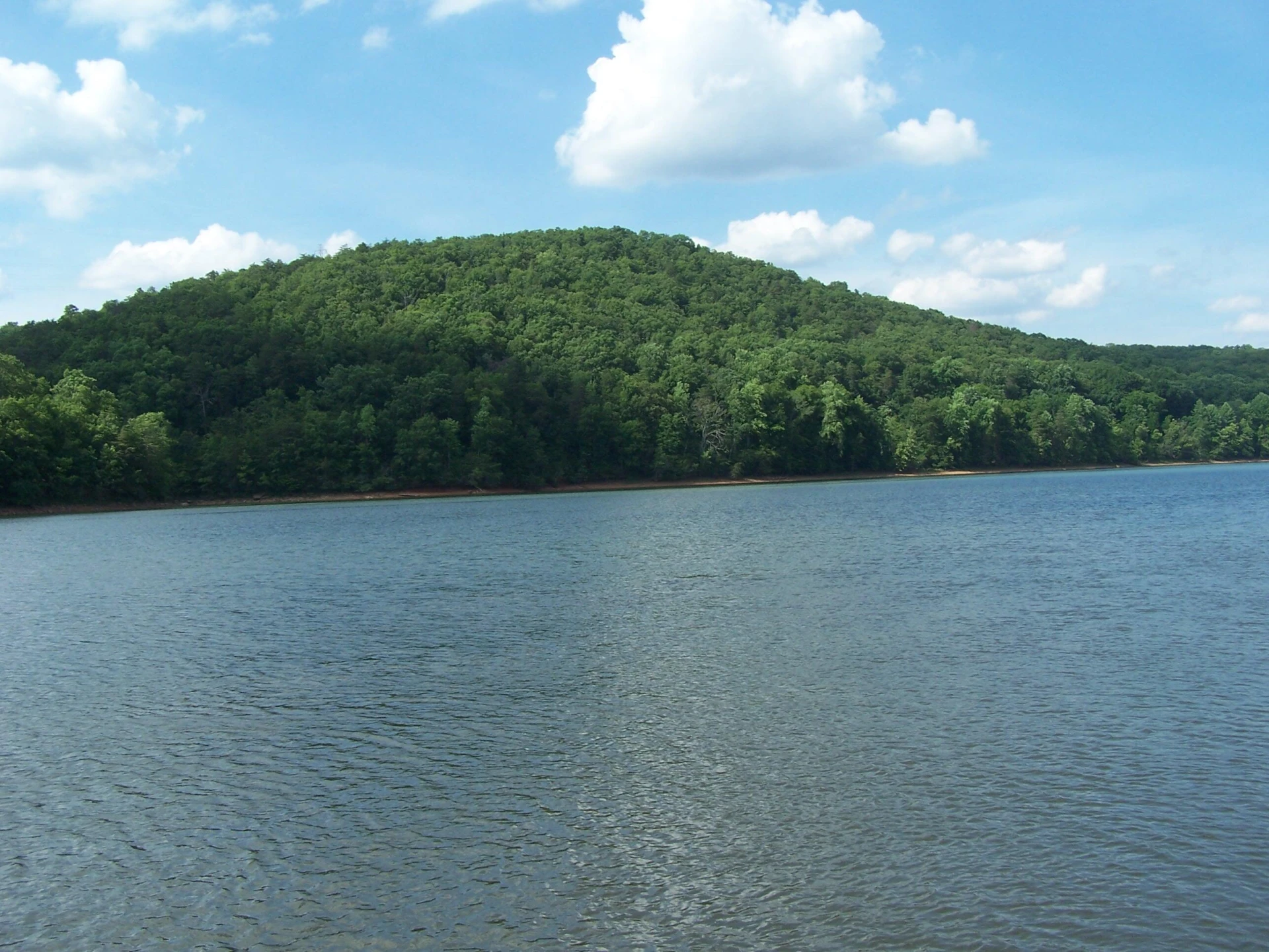 117 Greenberry DR - Photo 29