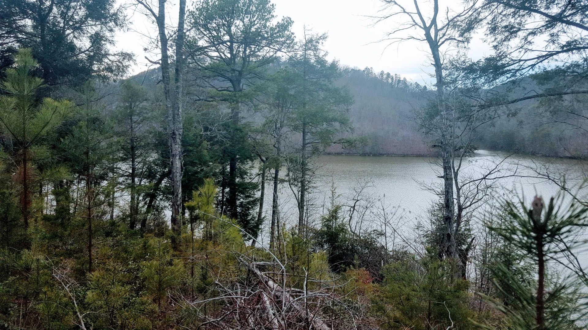 117 Greenberry DR - Photo 8